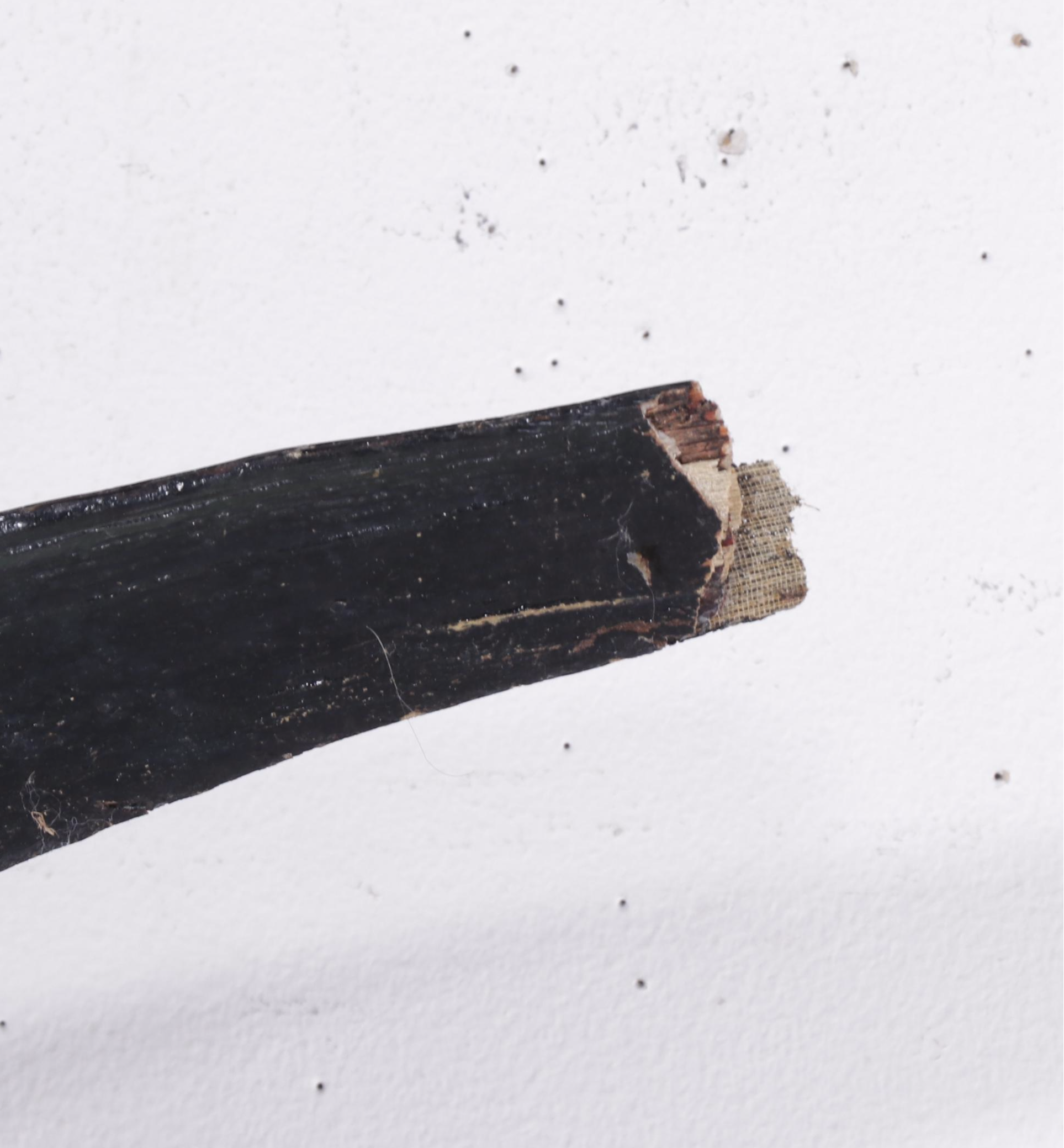 Taxidermy Sailfish Fiberglass Replica Wall Mount