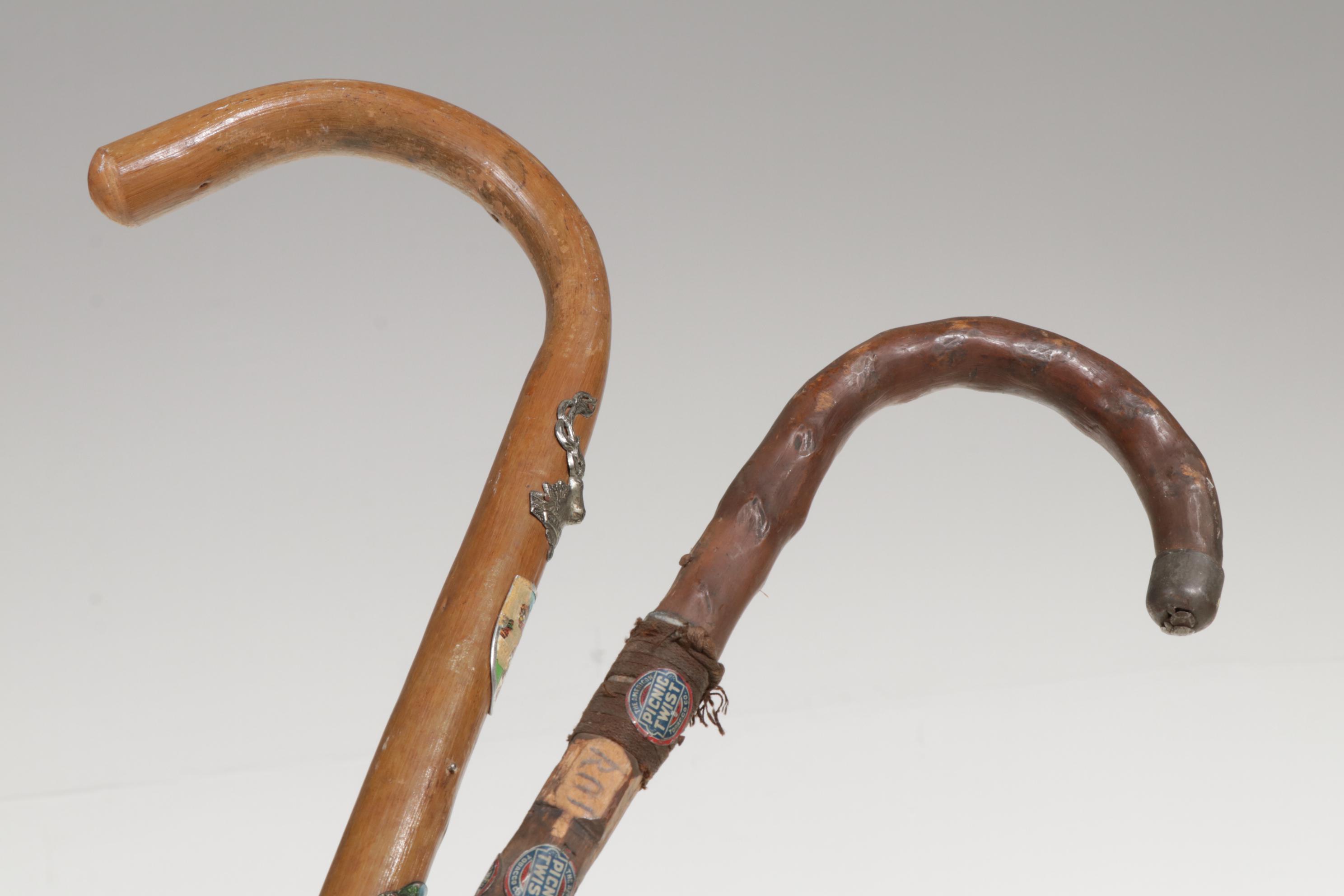 Majolica Umbrella Stand with Six Eclectic Canes, One Gold Plate Walking Stick