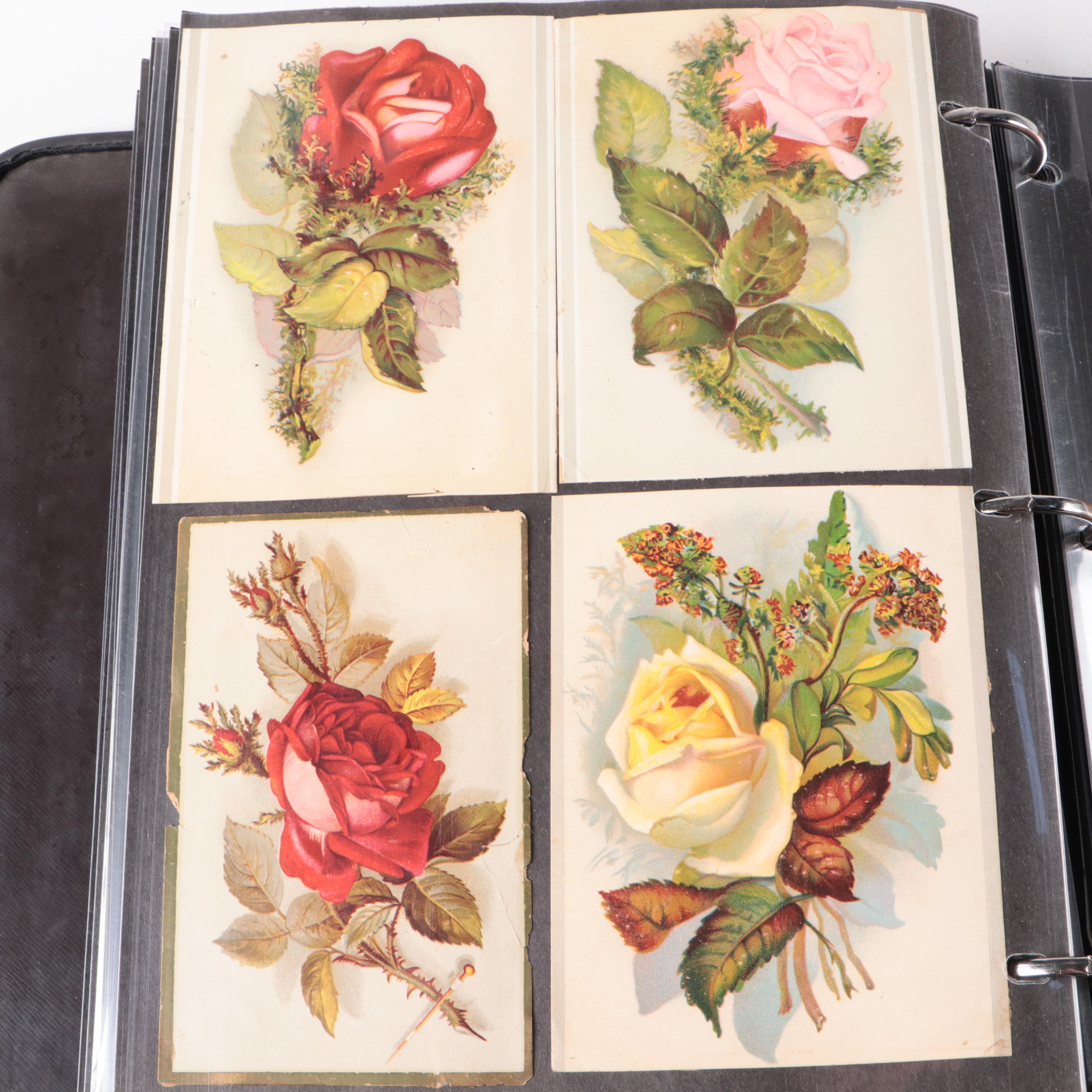 Postcard and Valentine Card Collection with Photo Album and Montblanc Pen Box