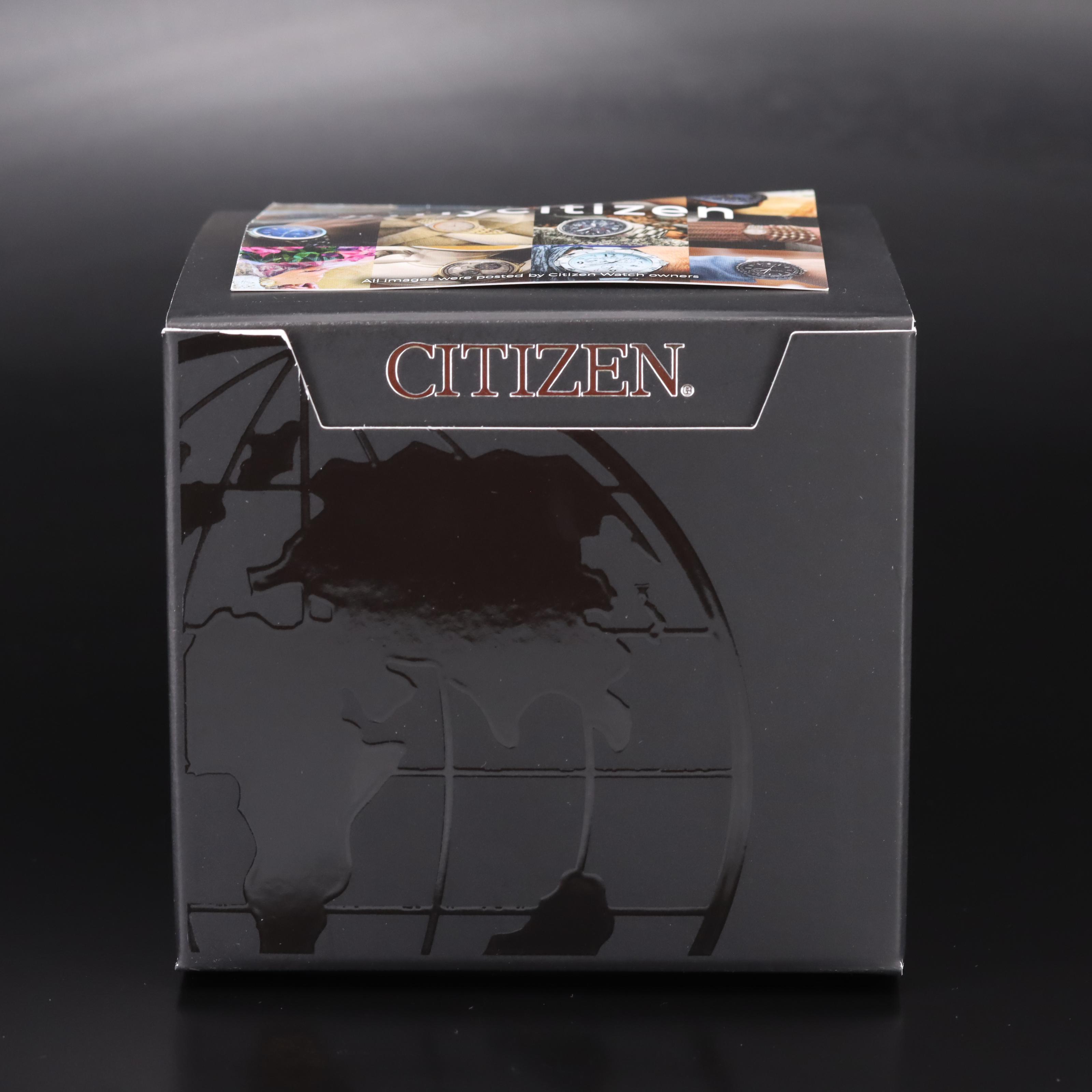 Citizen Axiom Eco-Drive Quartz Watch