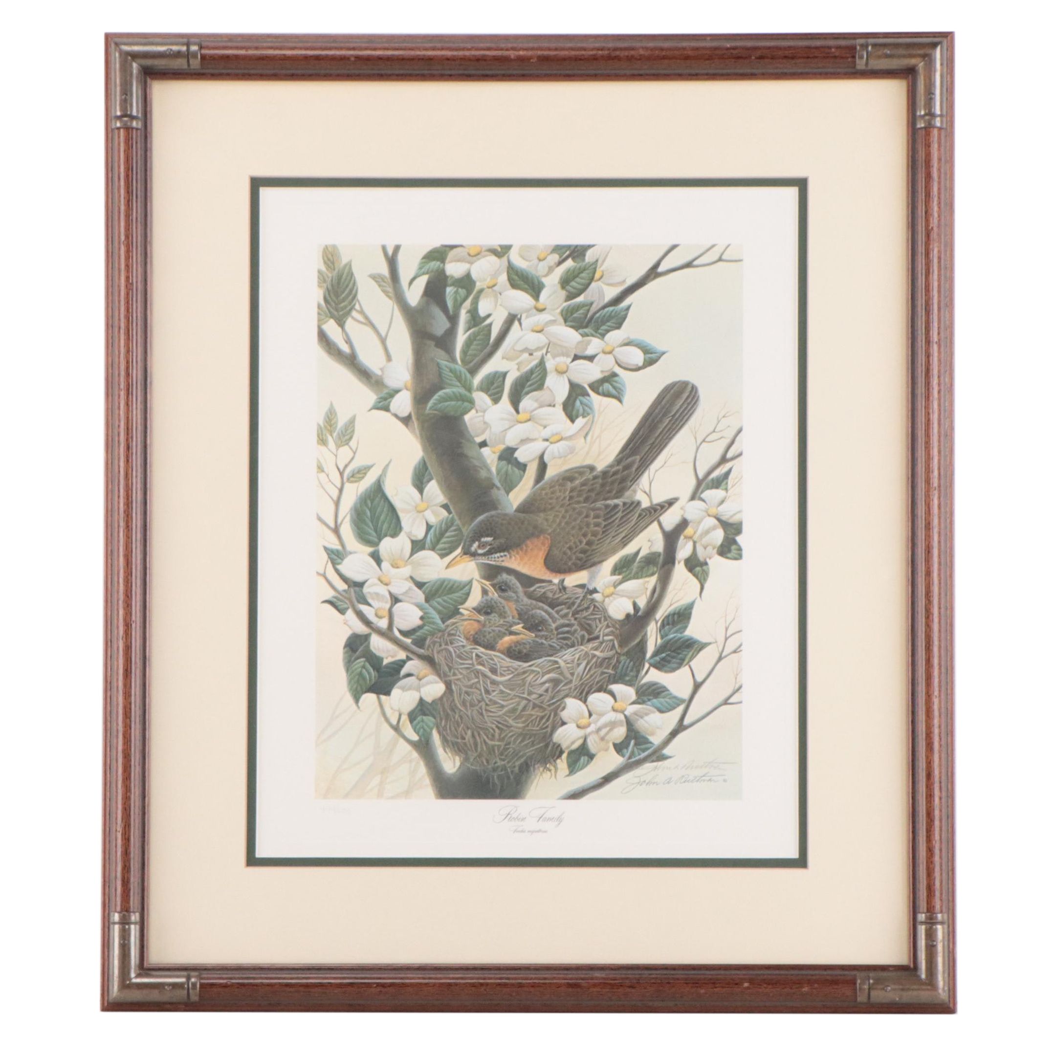 John A. Ruthven Offset Lithograph "Robin Family"