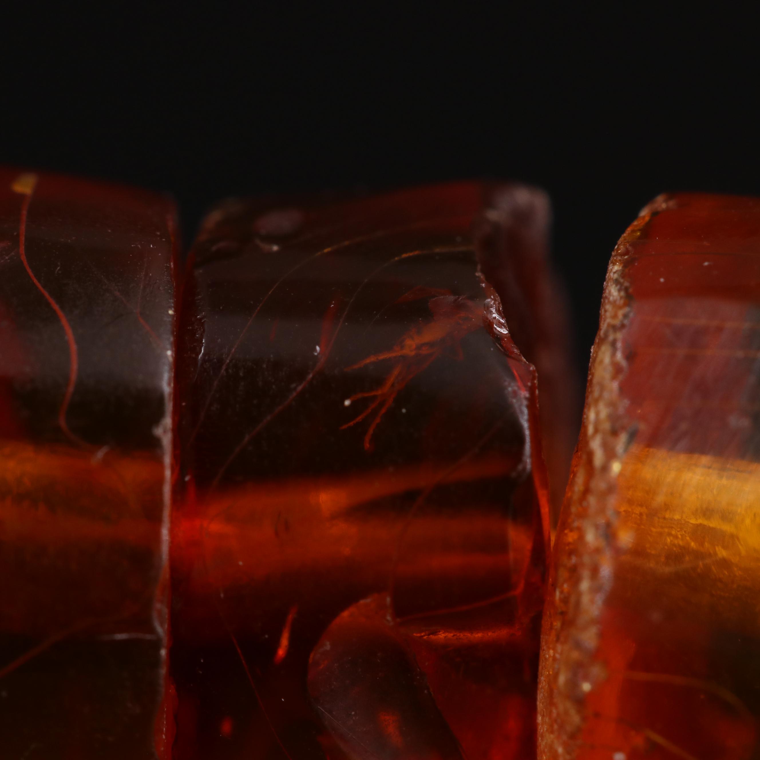 Graduated Amber Necklace