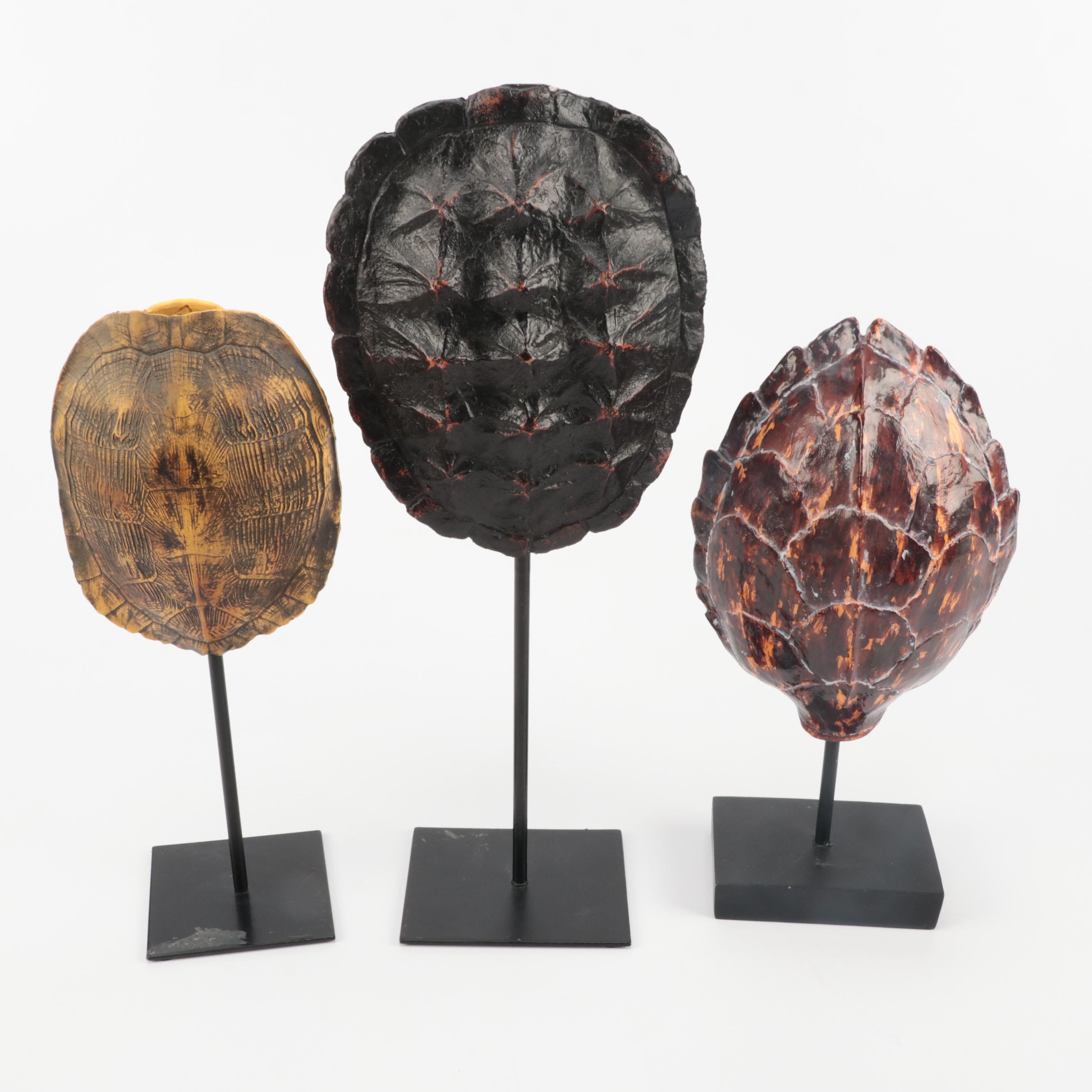 Restoration Hardware Resin Decorative Turtle Shells