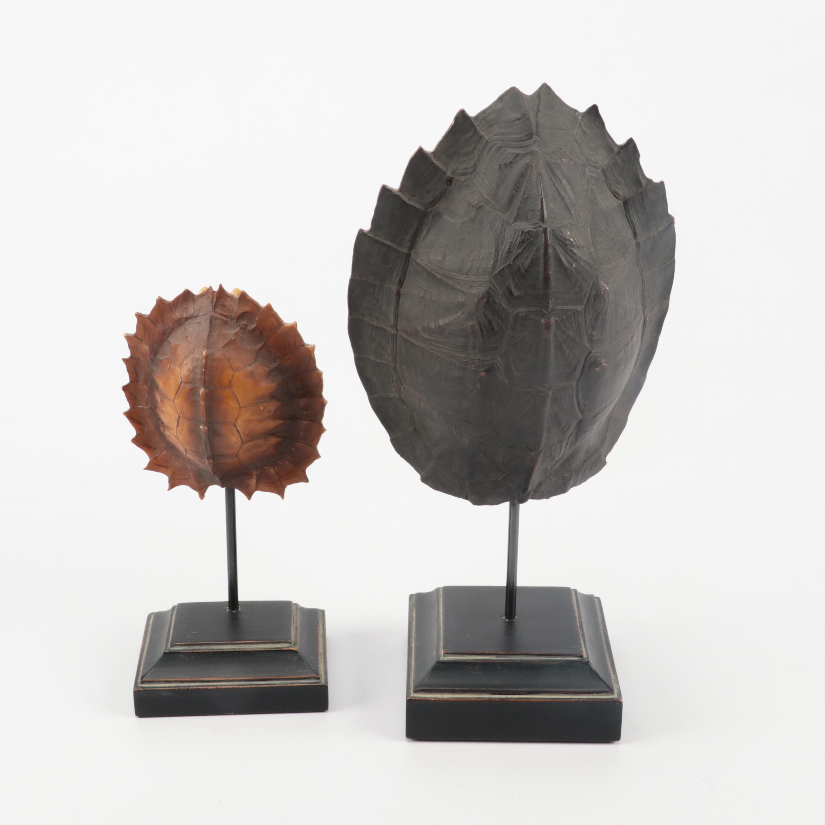 Restoration Hardware Resin Decorative Turtle Shells