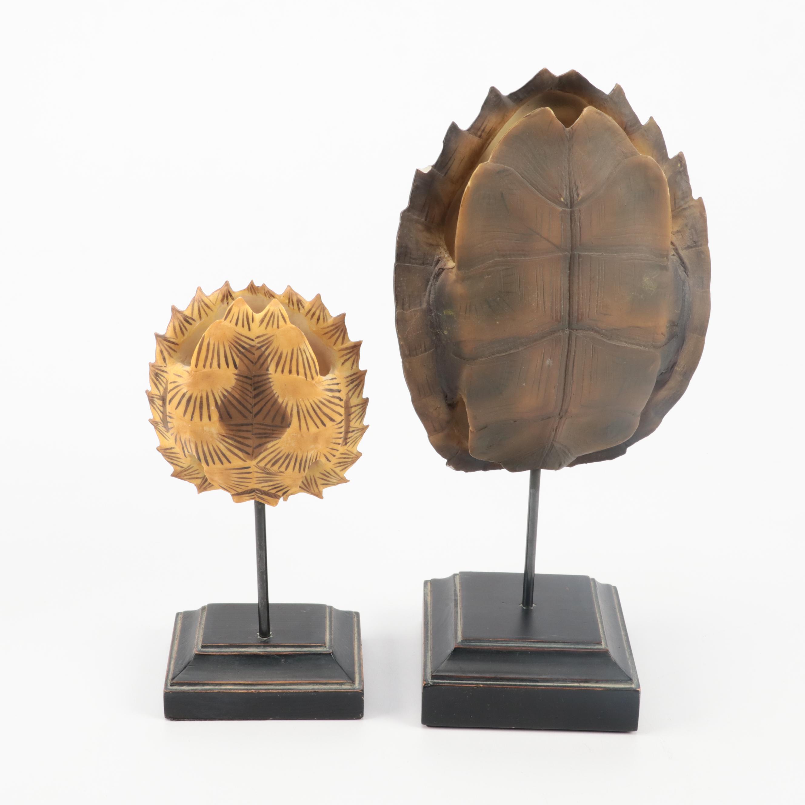 Restoration Hardware Resin Decorative Turtle Shells