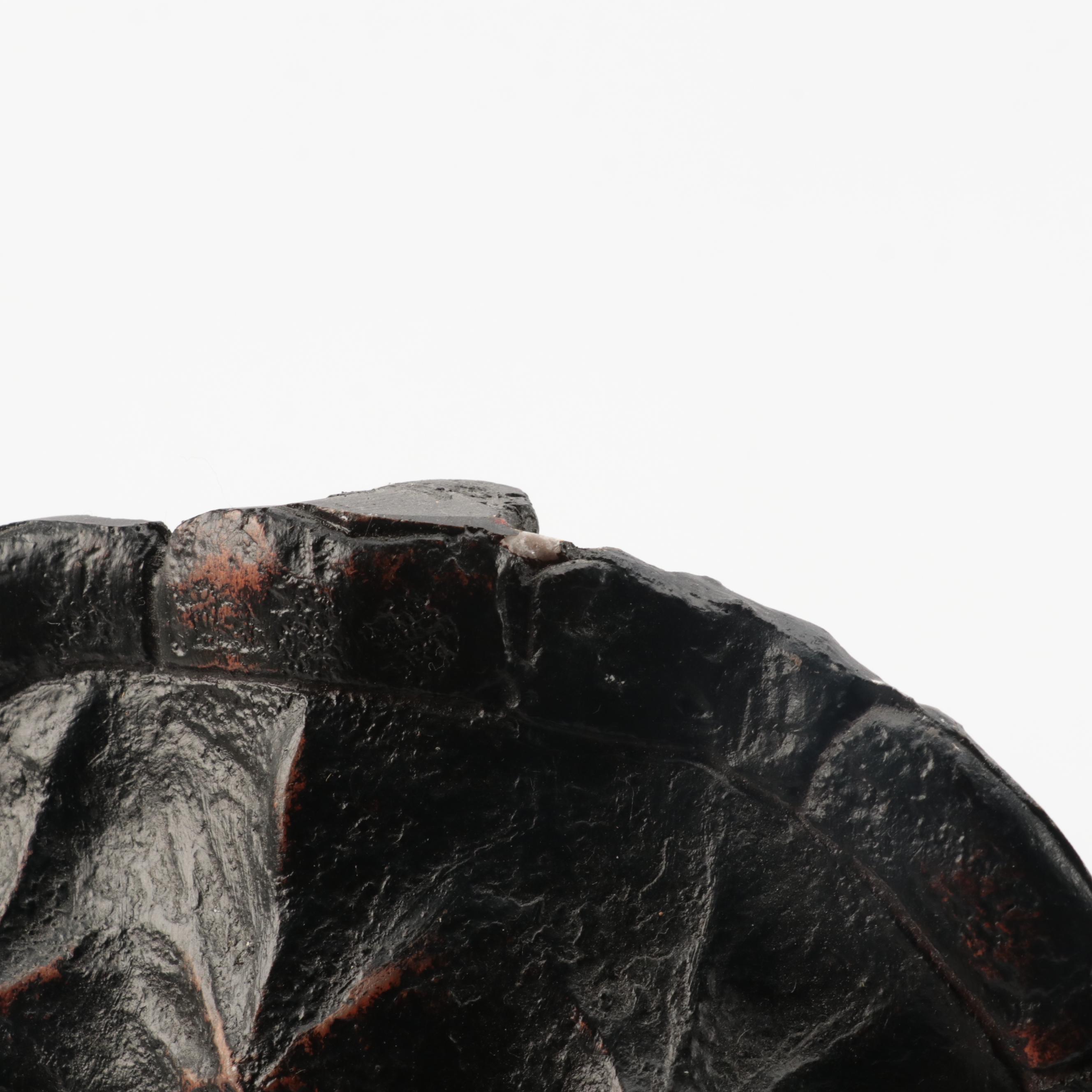 Restoration Hardware Resin Decorative Turtle Shells