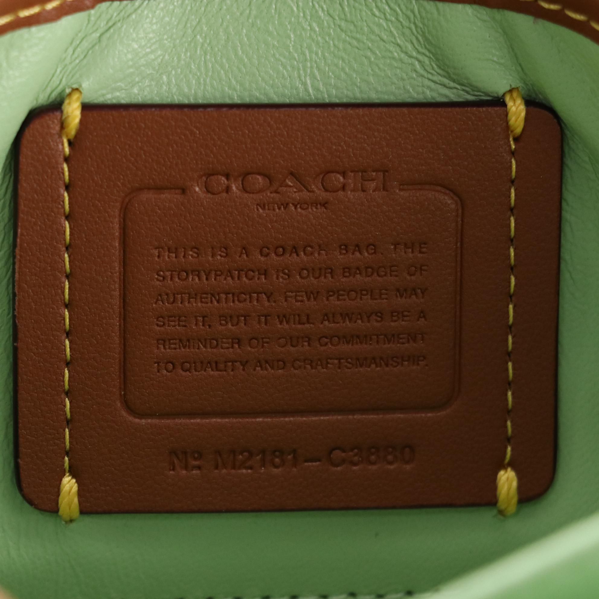 Coach Pillow Tabby with Multicolored Resin Strap