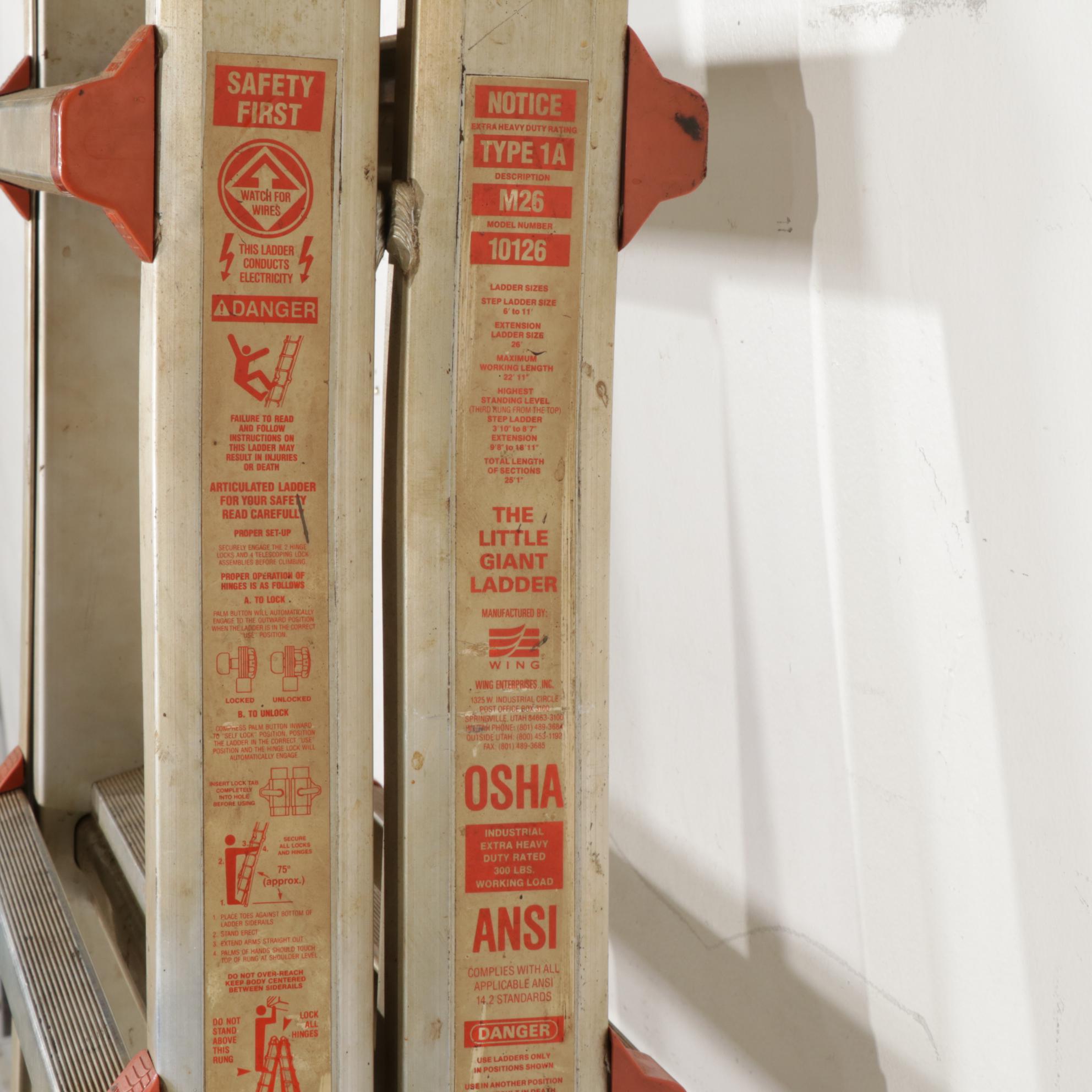 Werner Platform Ladder, Little Giant Step Ladder, and Mighty Multi Ladder