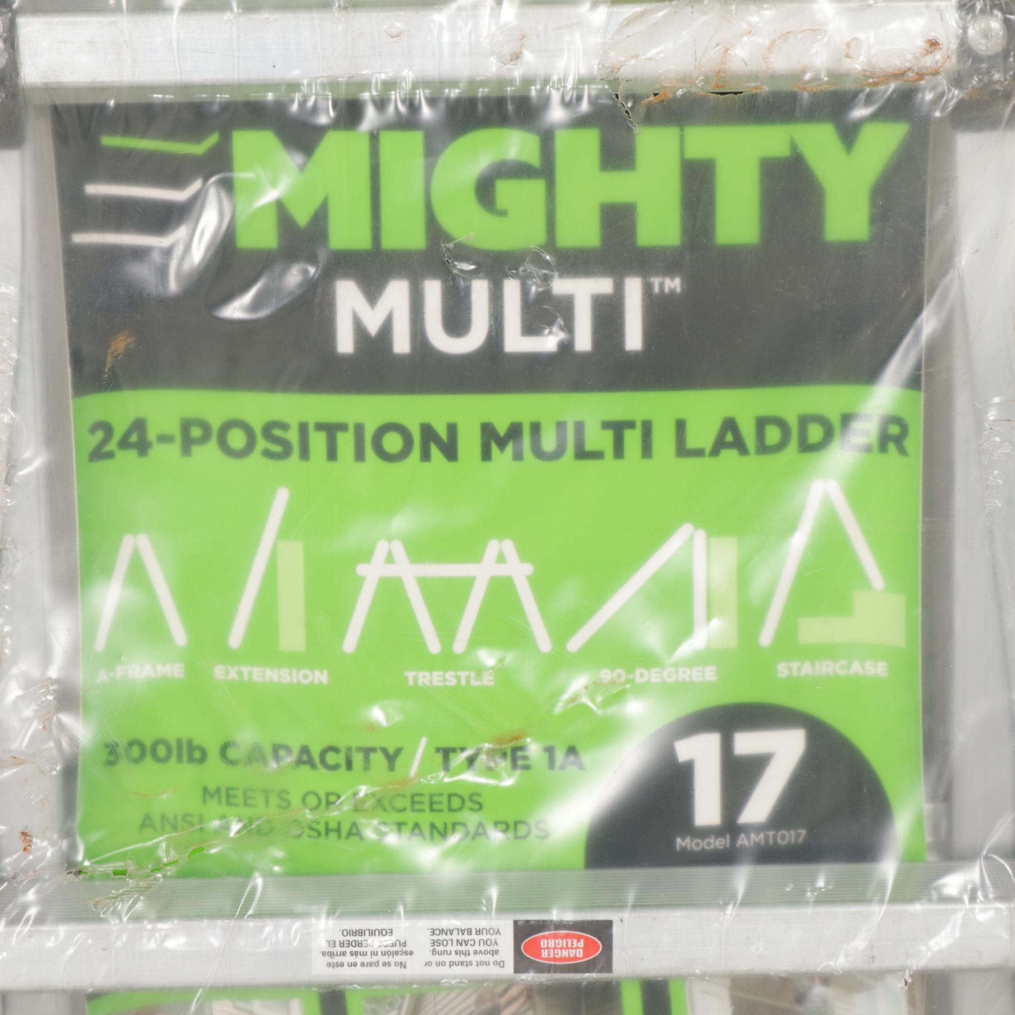 Werner Platform Ladder, Little Giant Step Ladder, and Mighty Multi Ladder