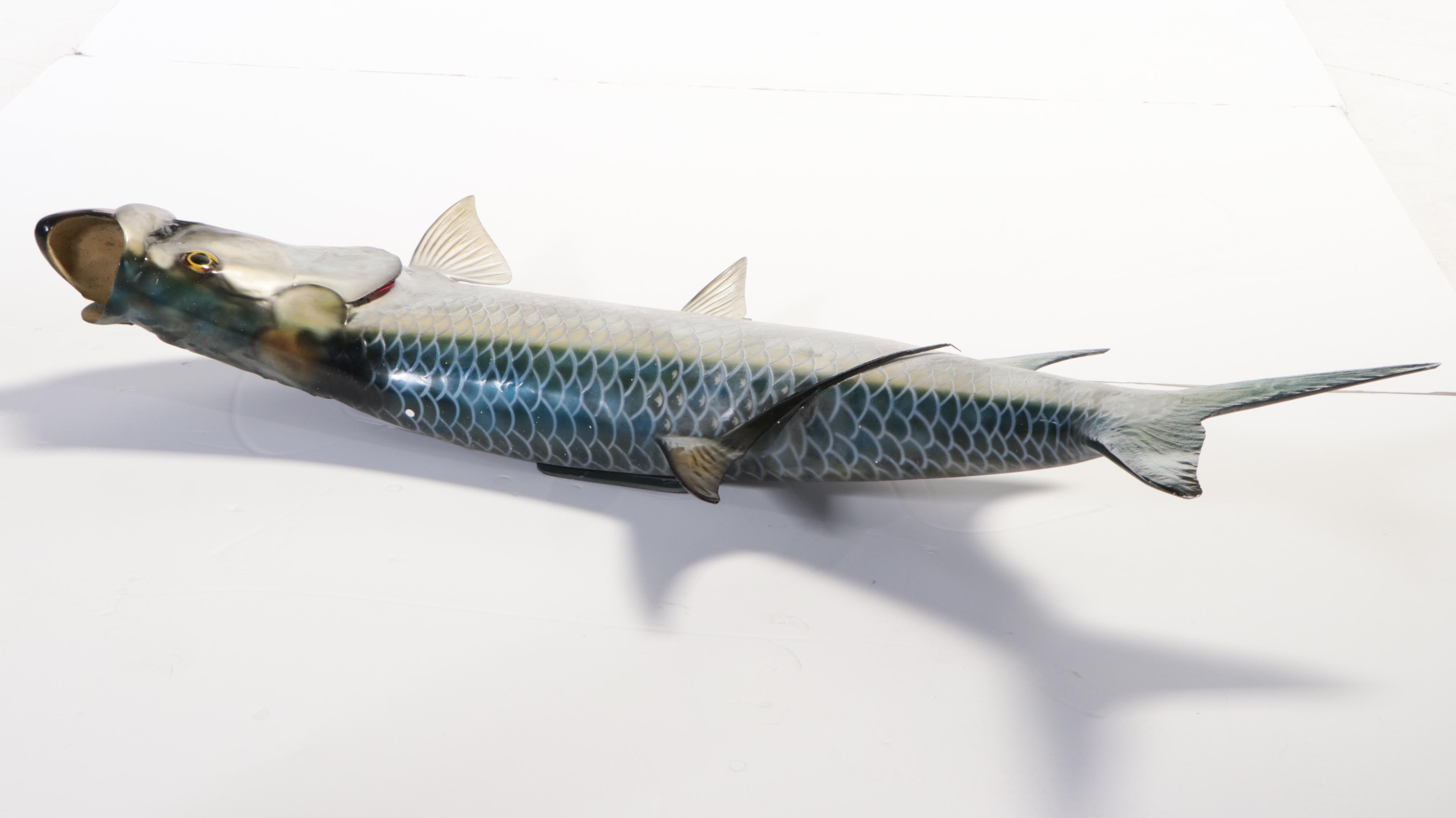 Atlantic Tarpon Taxidermy Fiberglass Model