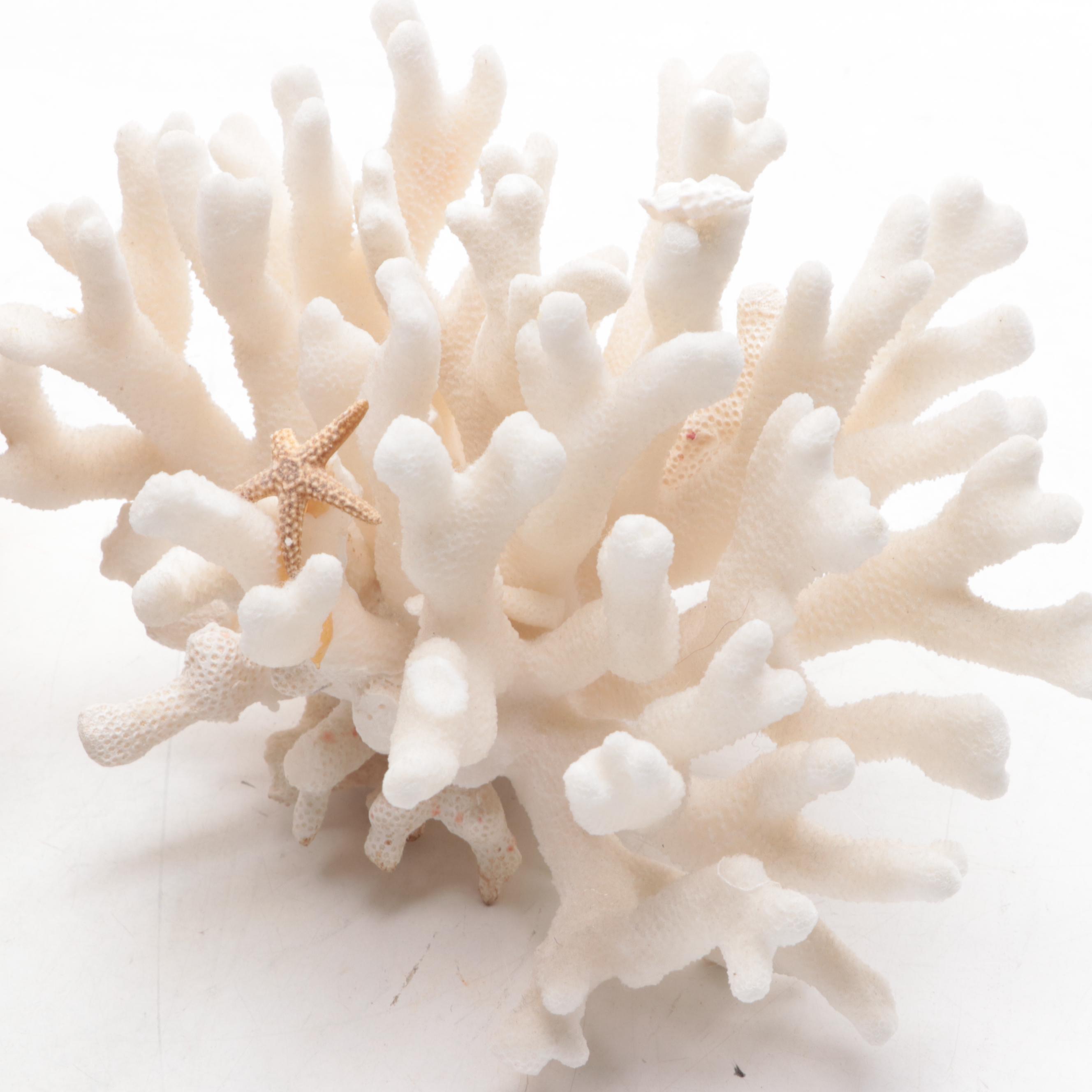 John Perry Resin Sculpture of a Whale with Fossil Coral and Starfish Specimen