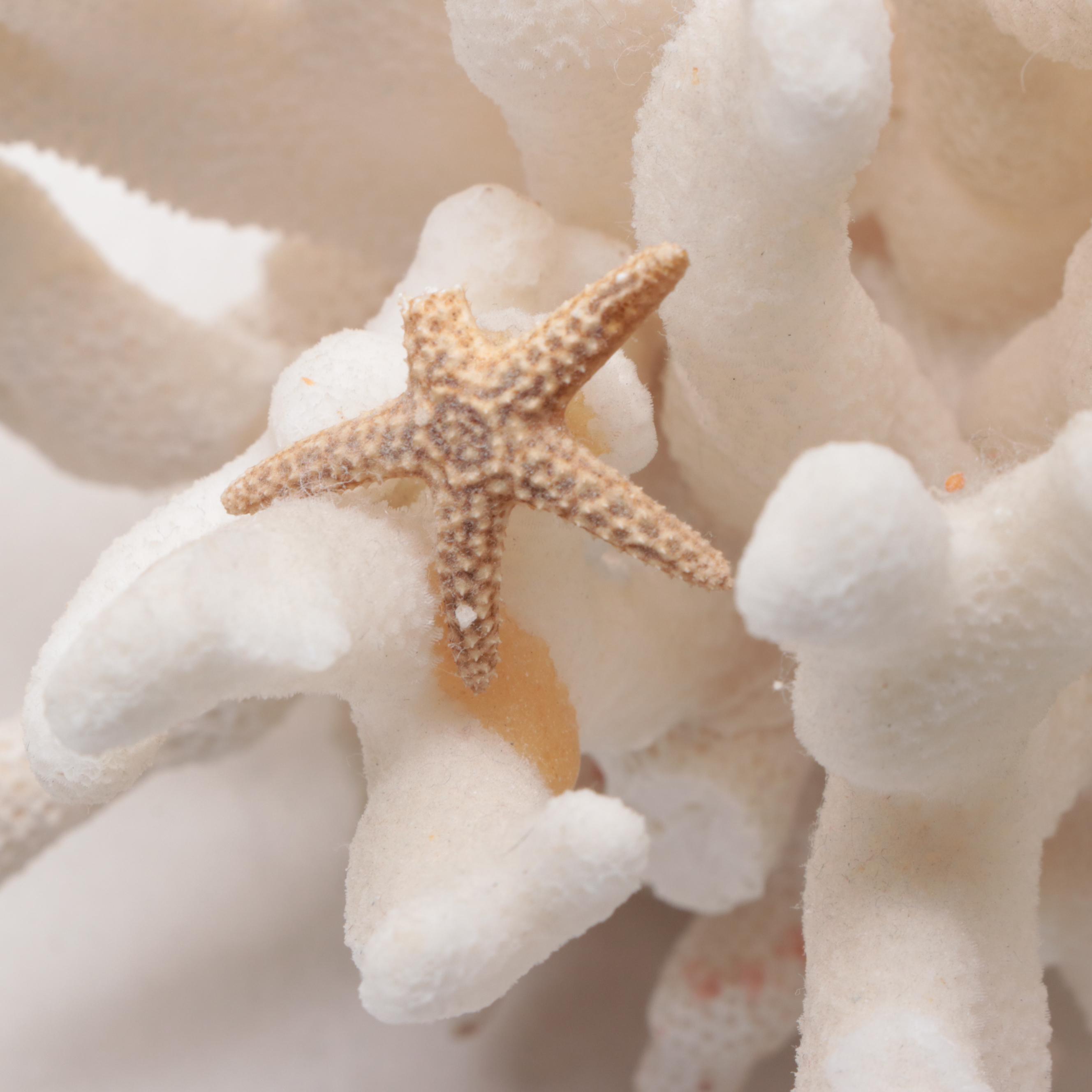 John Perry Resin Sculpture of a Whale with Fossil Coral and Starfish Specimen