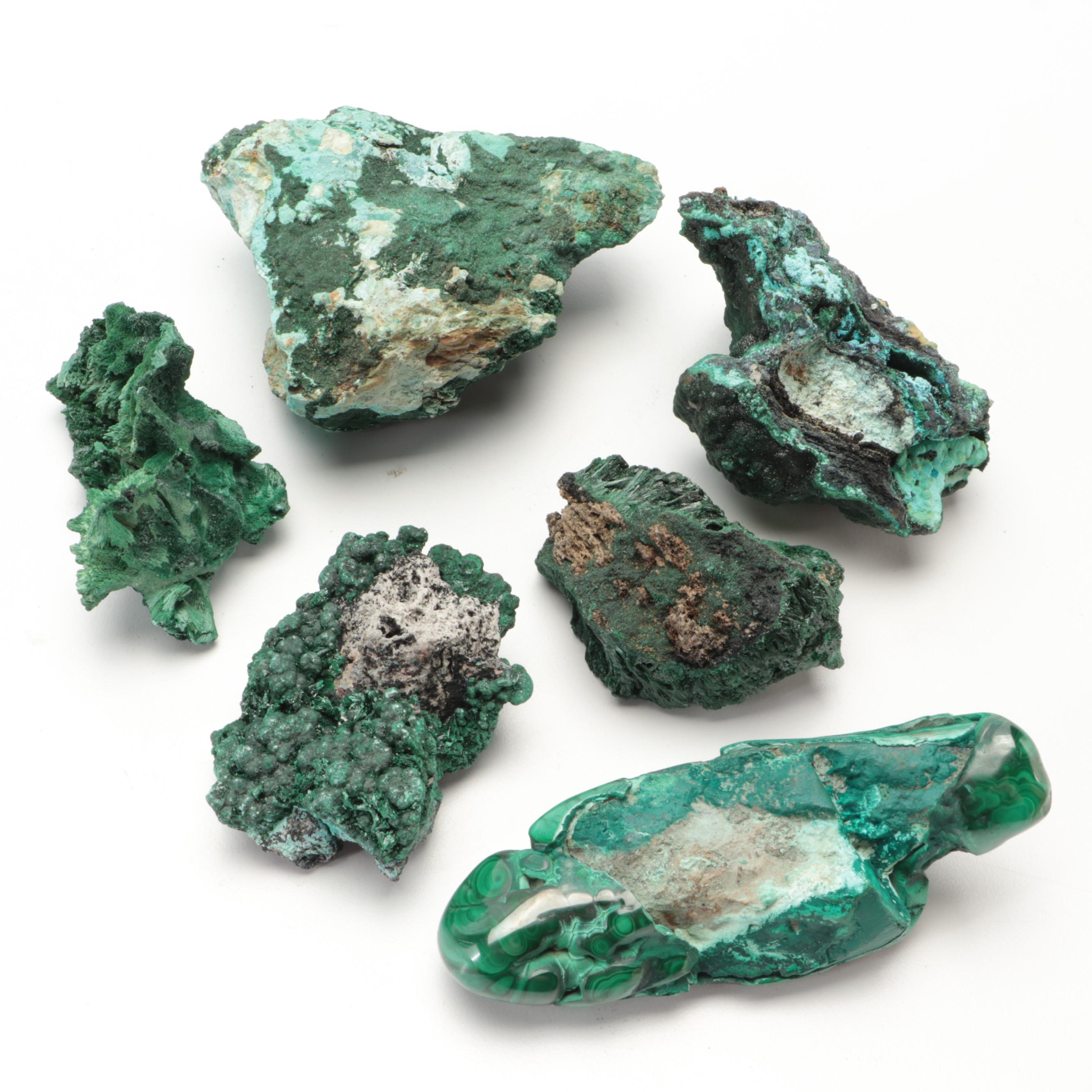 Raw and Polished Malachite Specimens With Botryoidal Formation