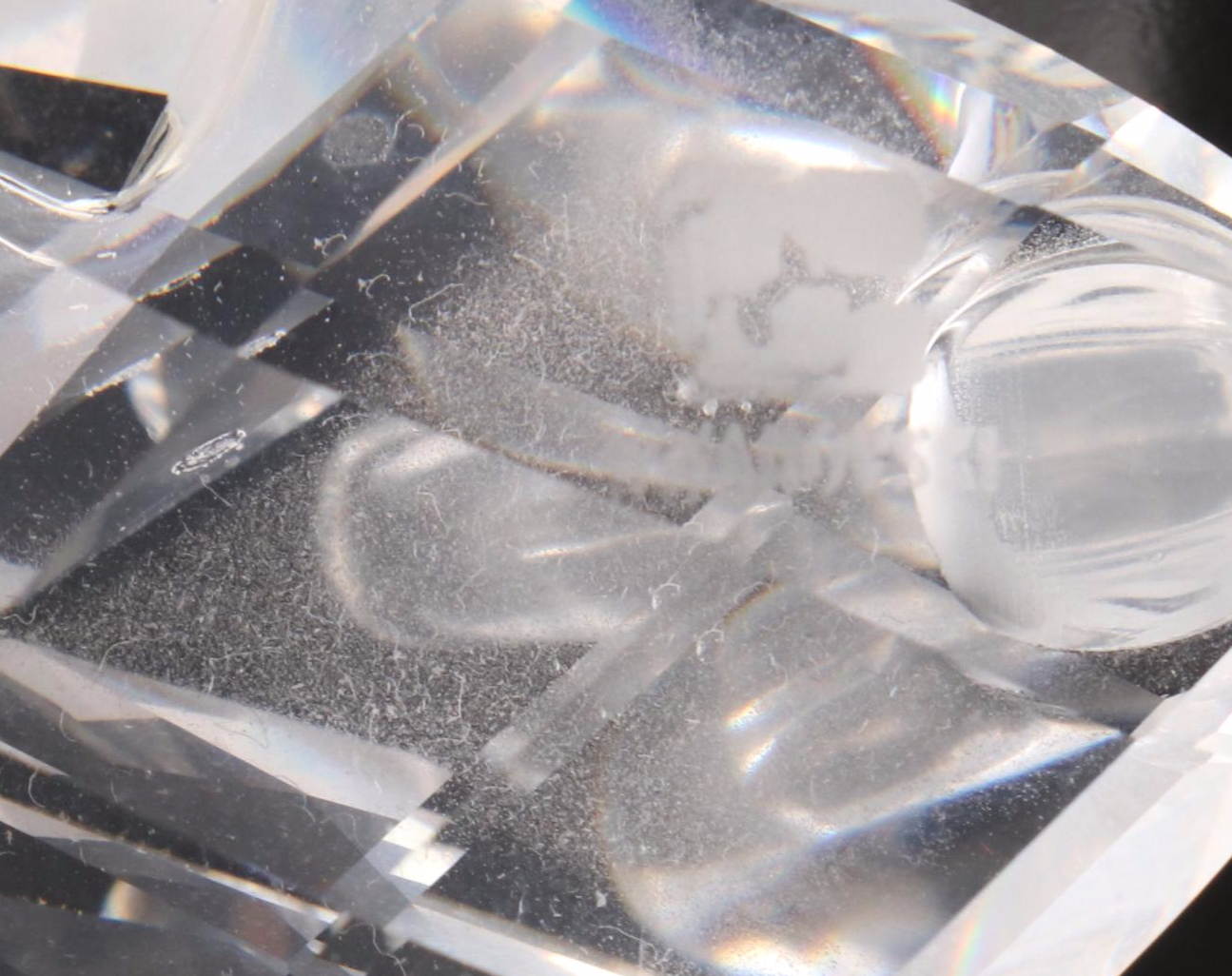 Swarovski Crystal Swan Figurines