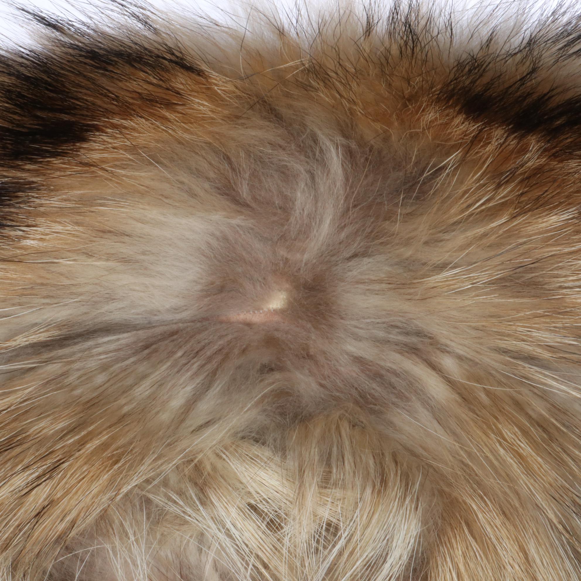 Tanuki Fur Full Length Coat