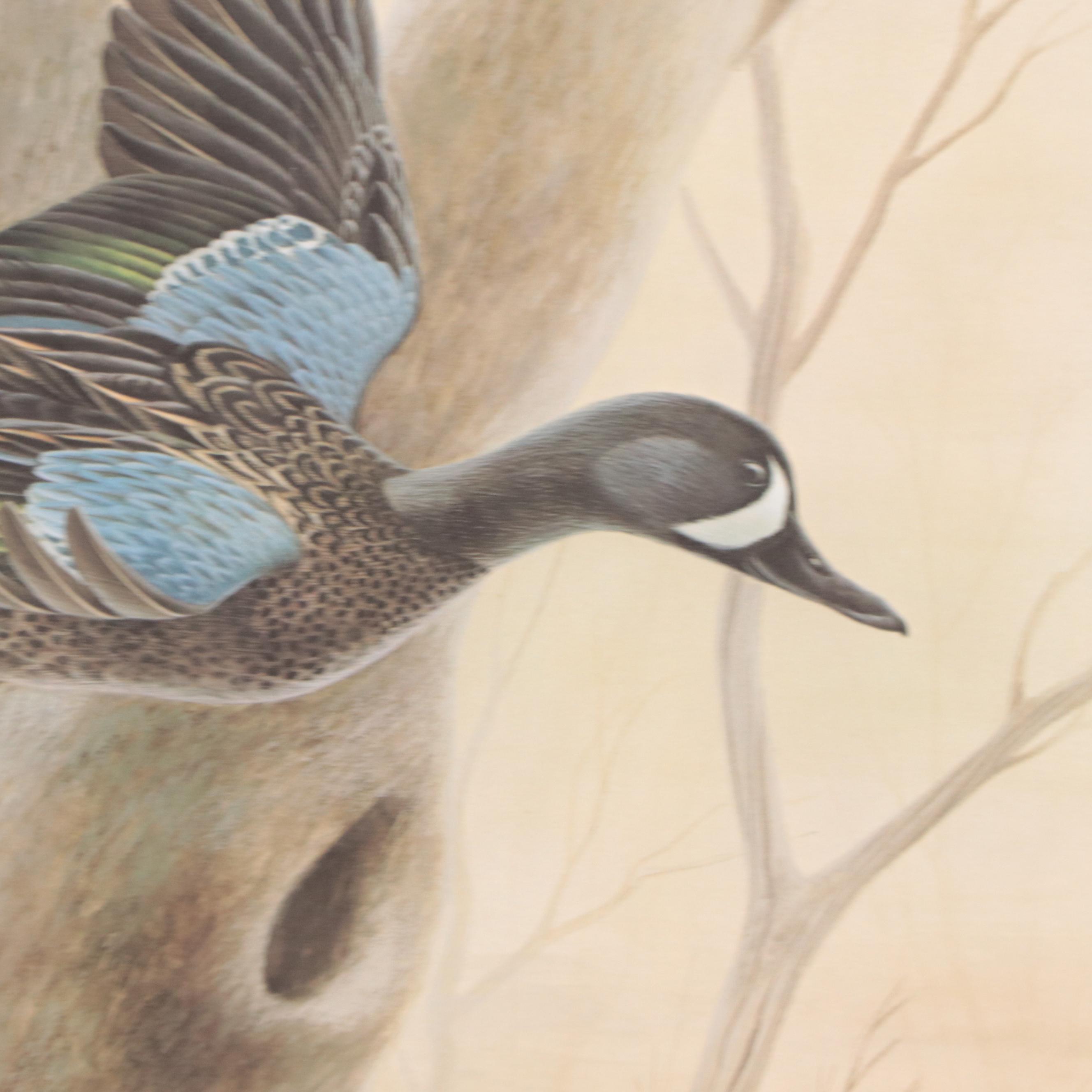 John A. Ruthven Offset Lithograph "Blue-Winged Teal"