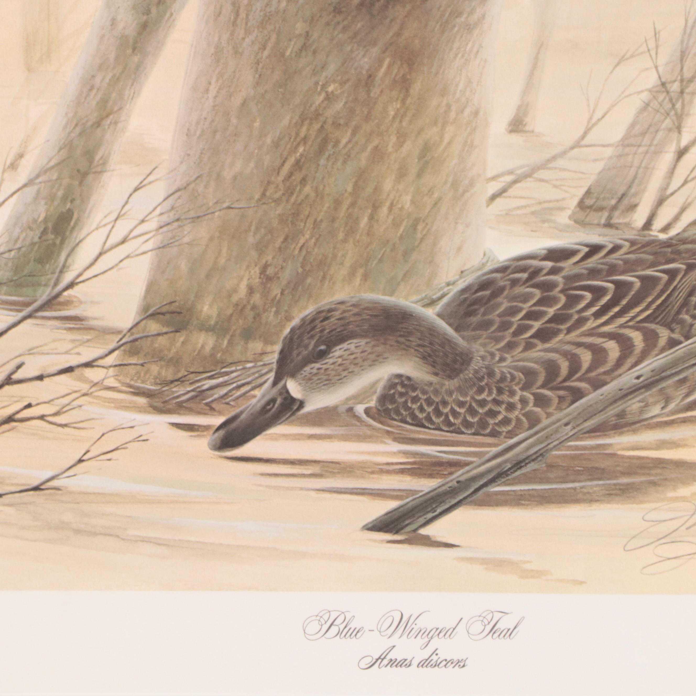 John A. Ruthven Offset Lithograph "Blue-Winged Teal"