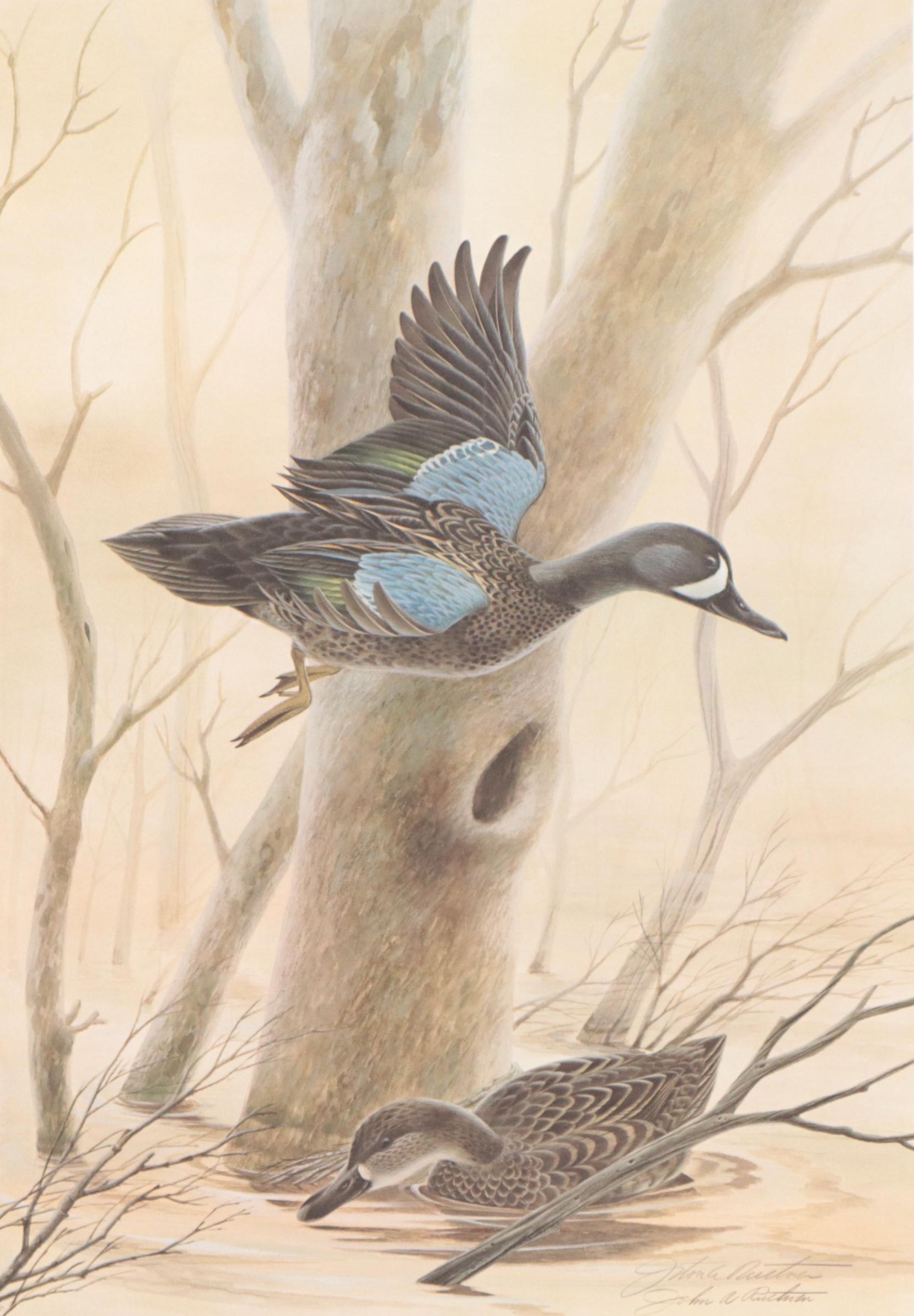 John A. Ruthven Offset Lithograph "Blue-Winged Teal"