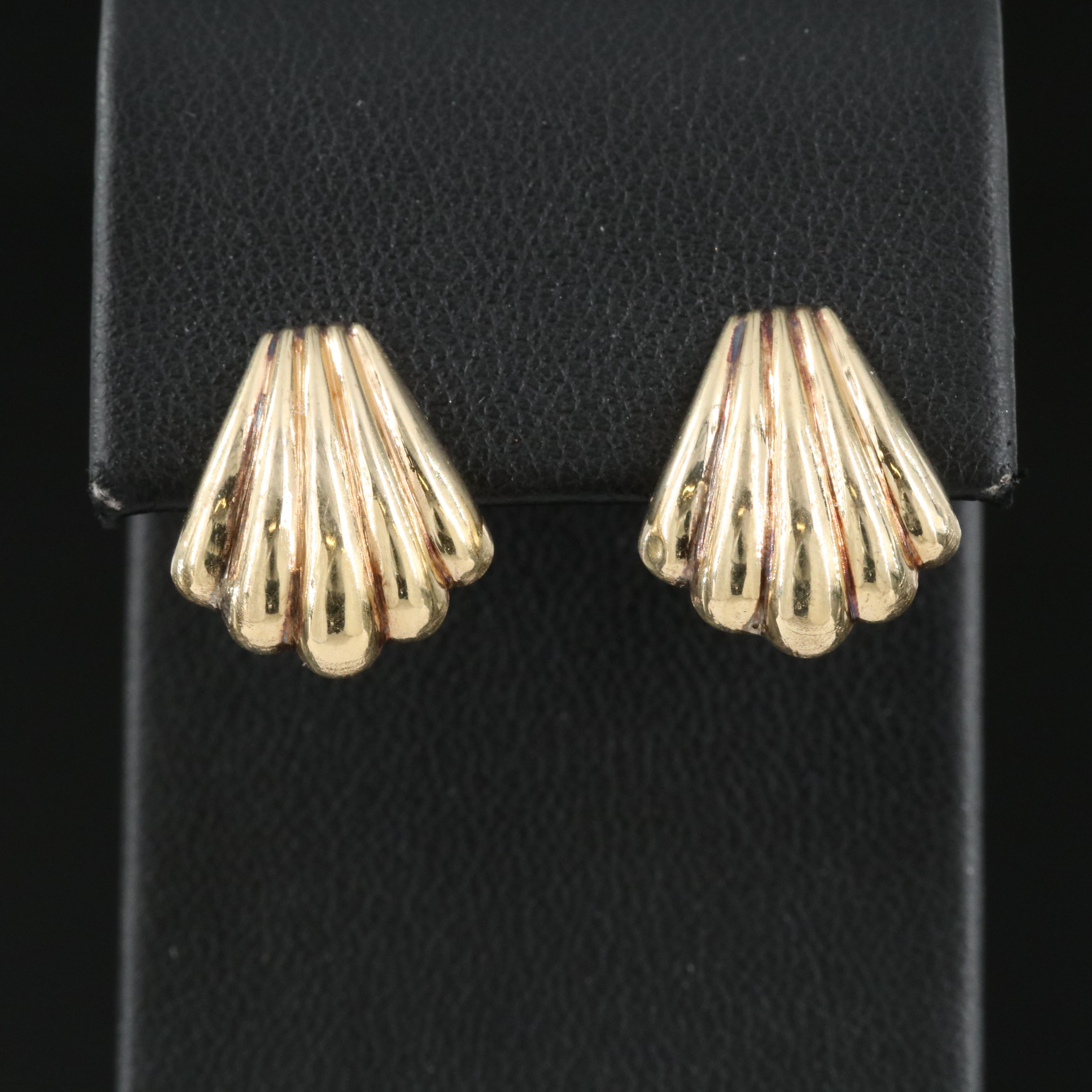 14K Shell Earrings