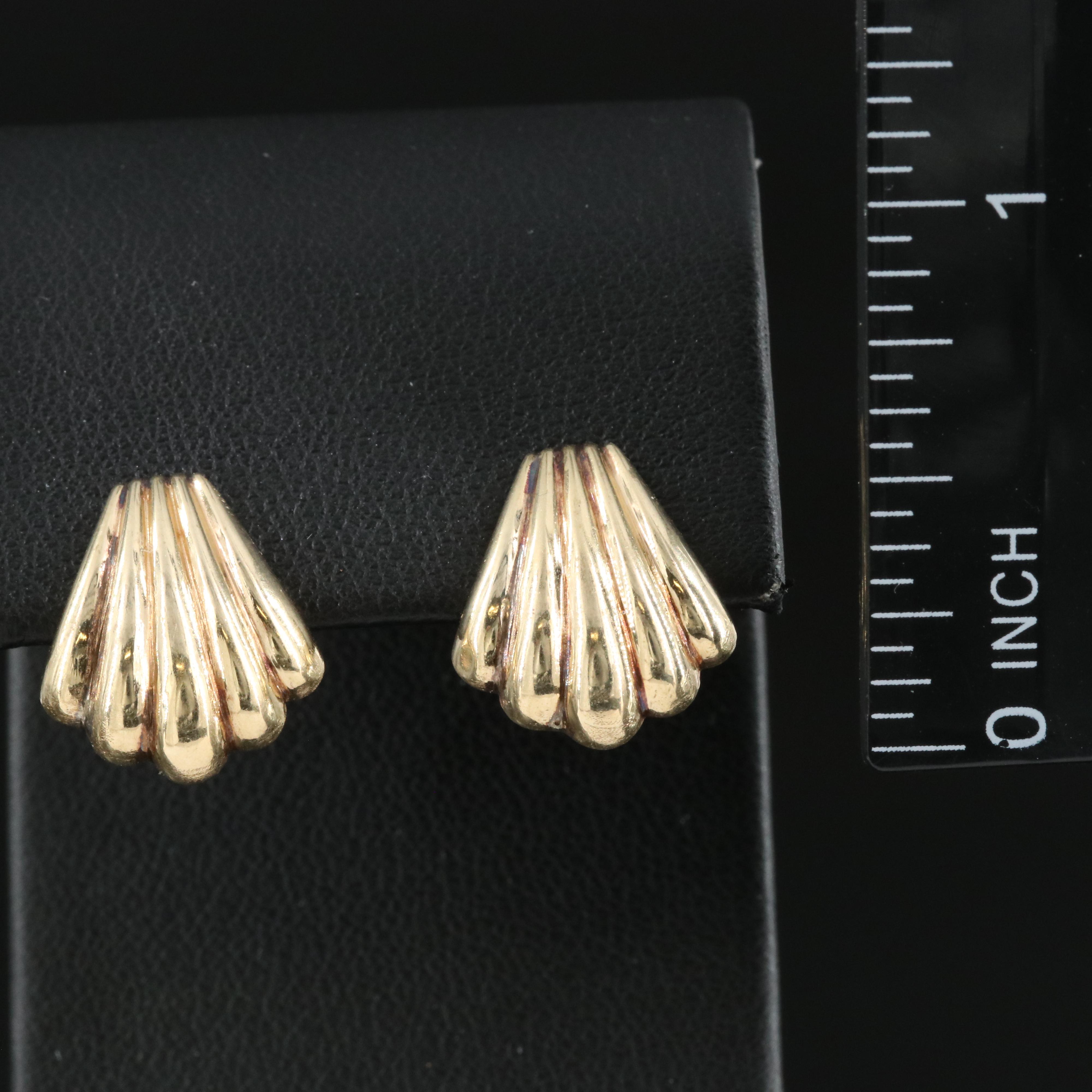 14K Shell Earrings