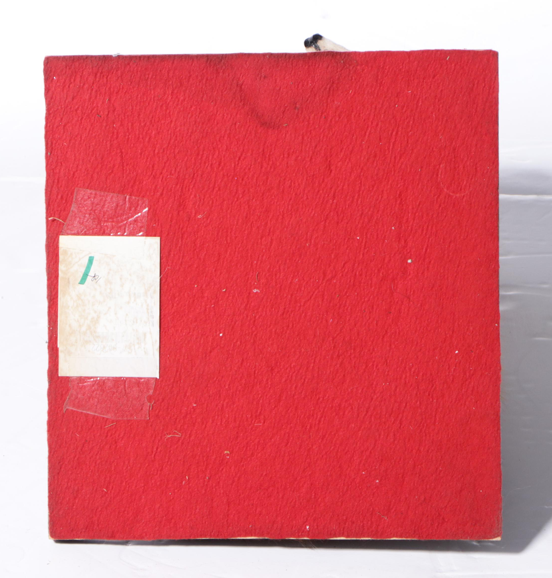 Pair of Taxidermy Red Fox Full Body Mounts on Bases