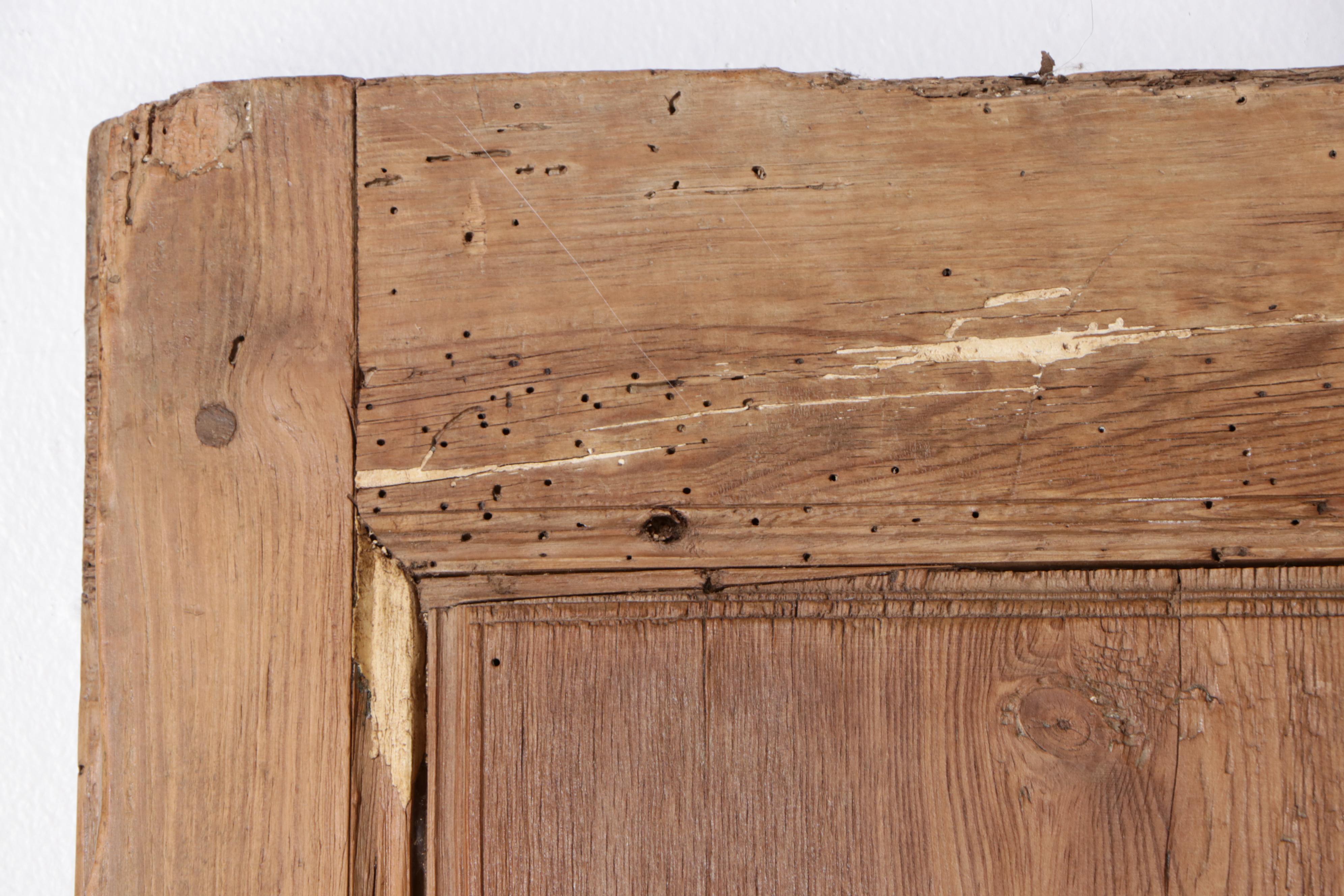 Pair of Antique Wooden Doors