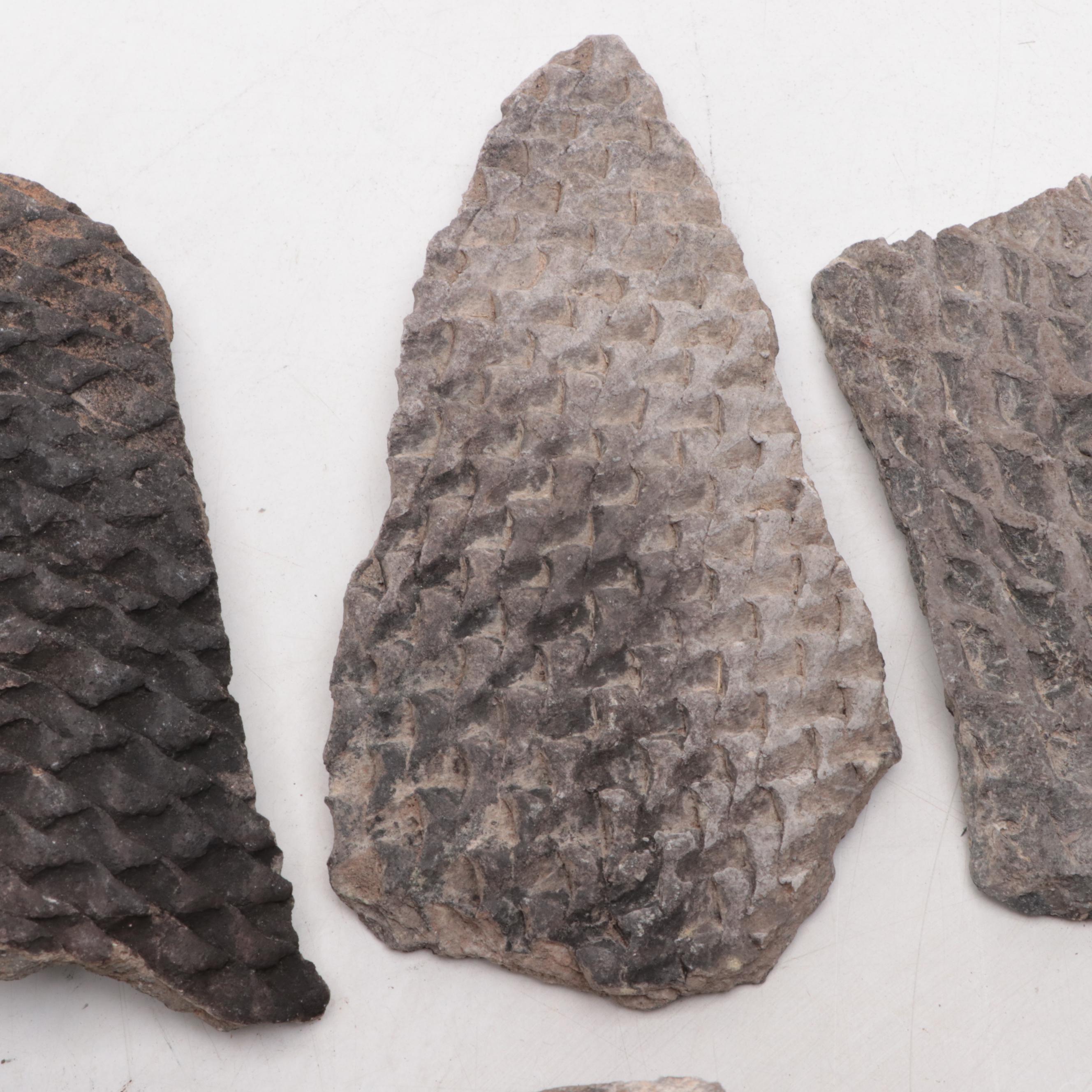 Ancient Sumerian Pottery Sherds