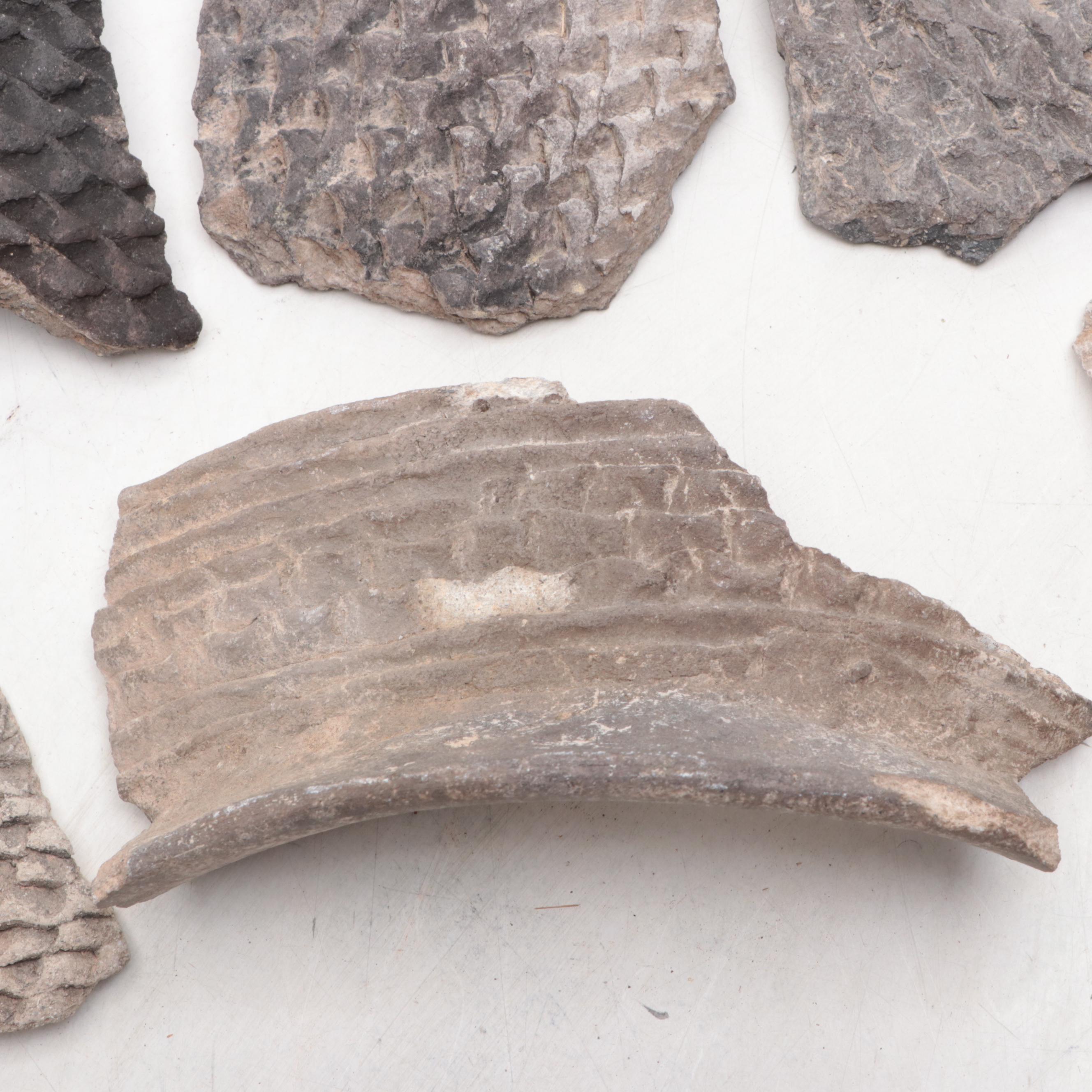 Ancient Sumerian Pottery Sherds