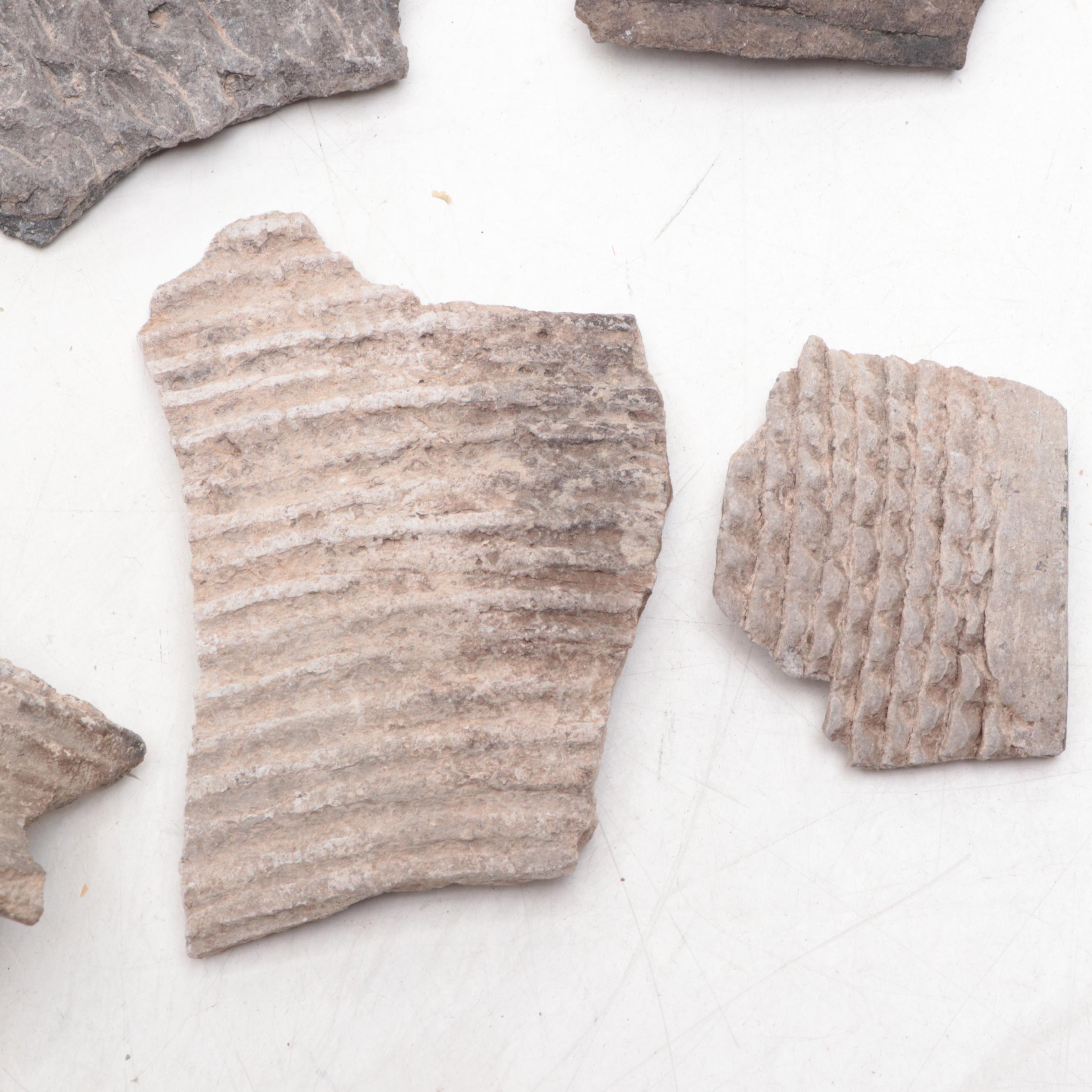 Ancient Sumerian Pottery Sherds