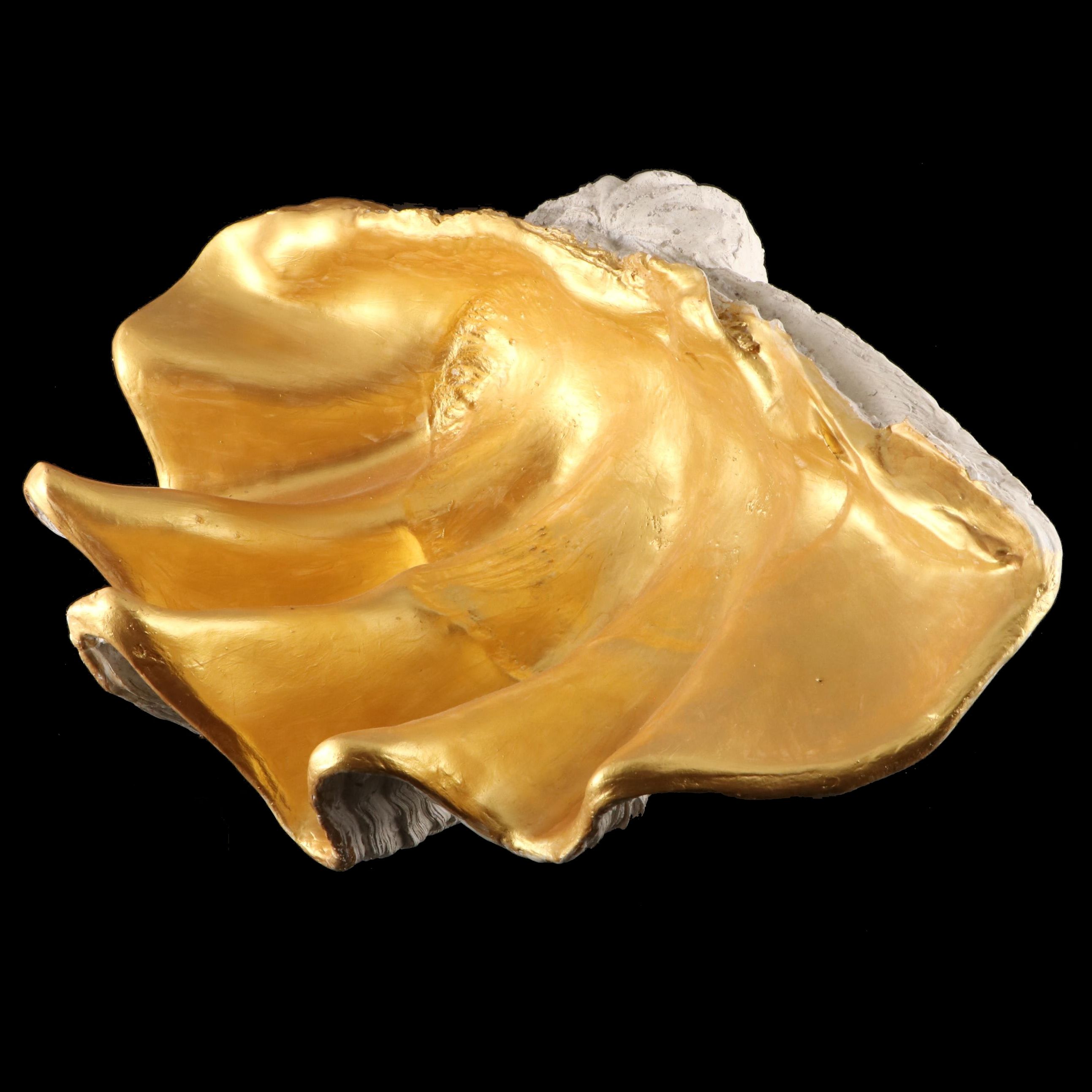 Cast Fiberglass Giant Clam Shell Form Bowl