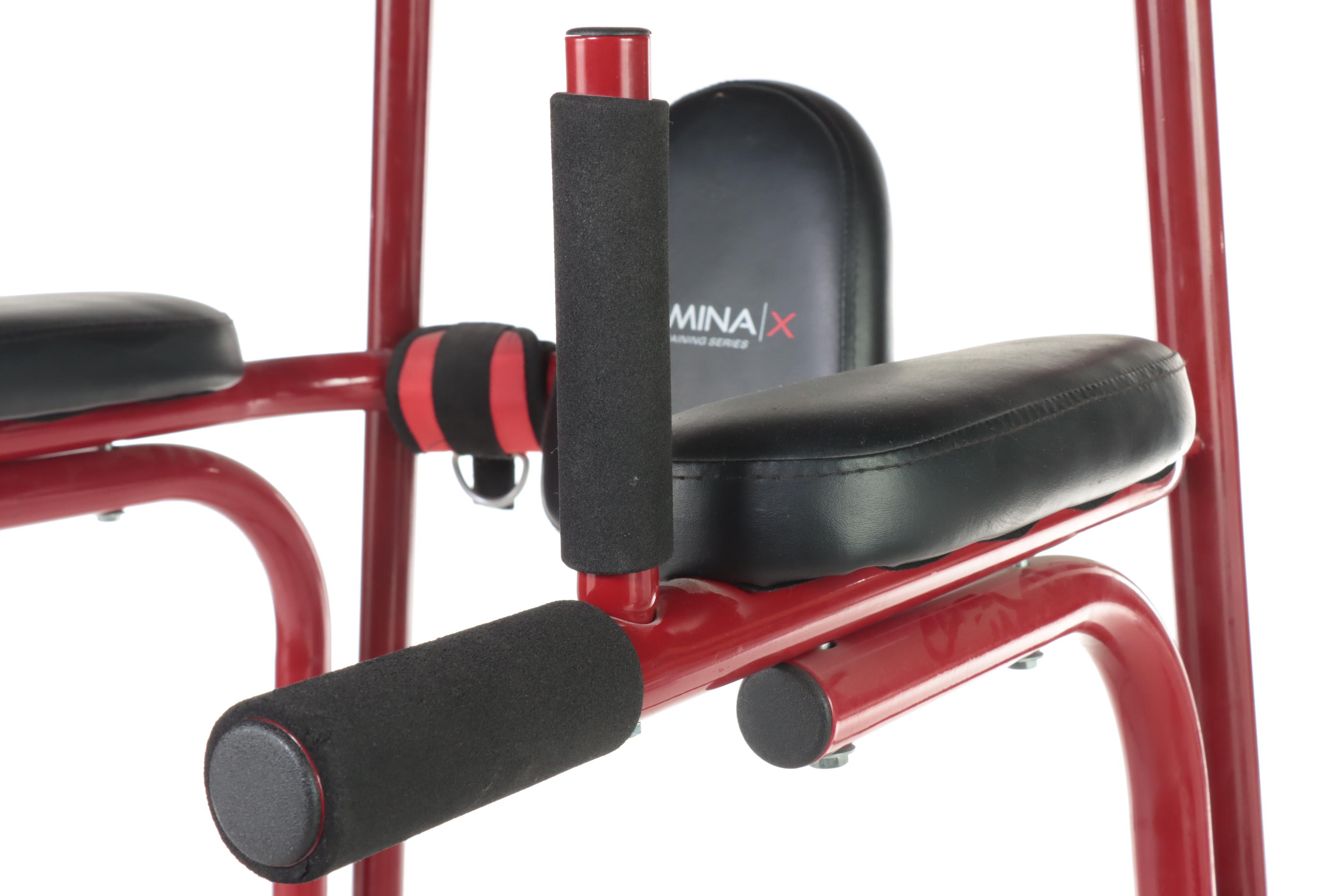 Stamina X Extreme Training Series Power Tower Exercise Machine