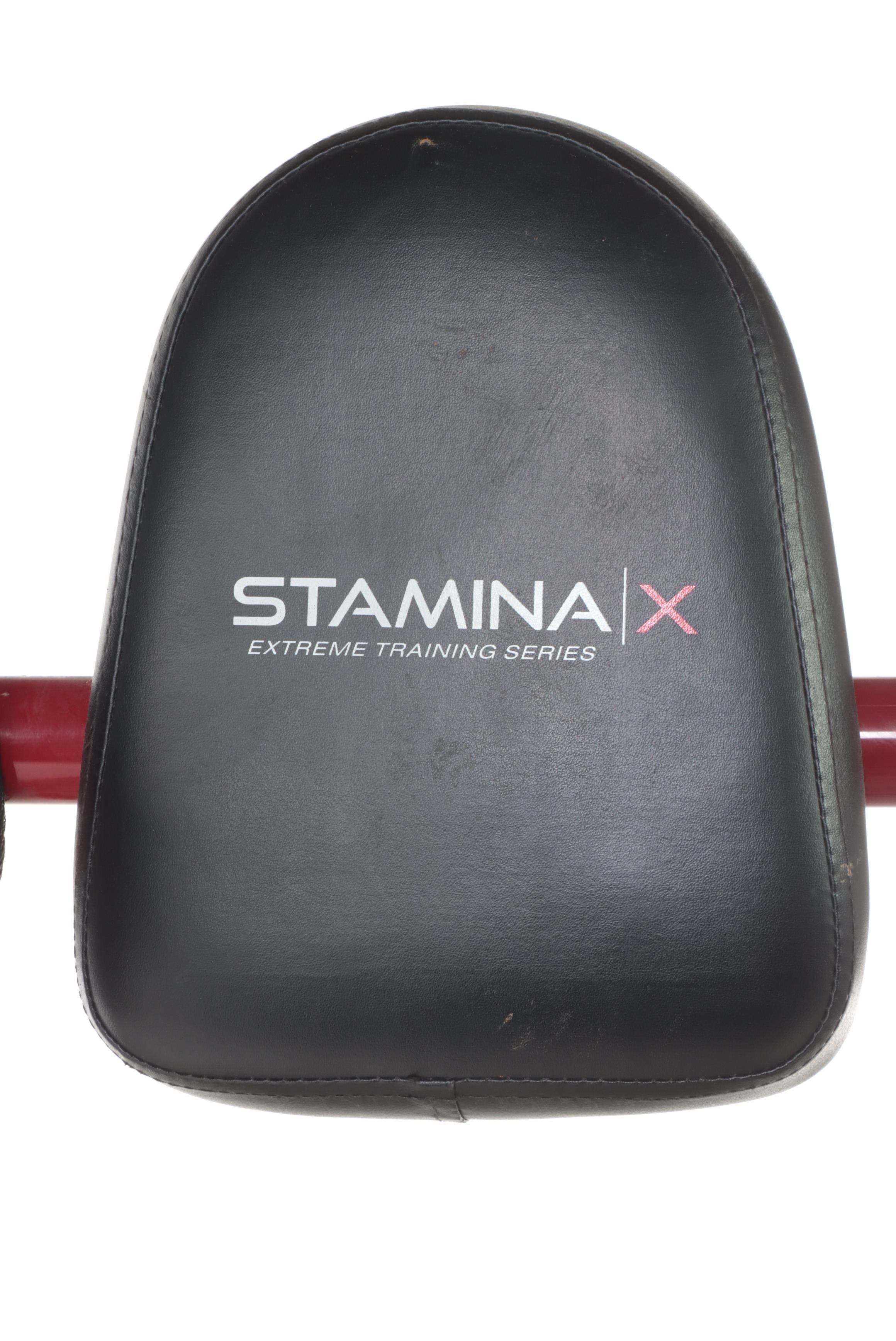 Stamina X Extreme Training Series Power Tower Exercise Machine