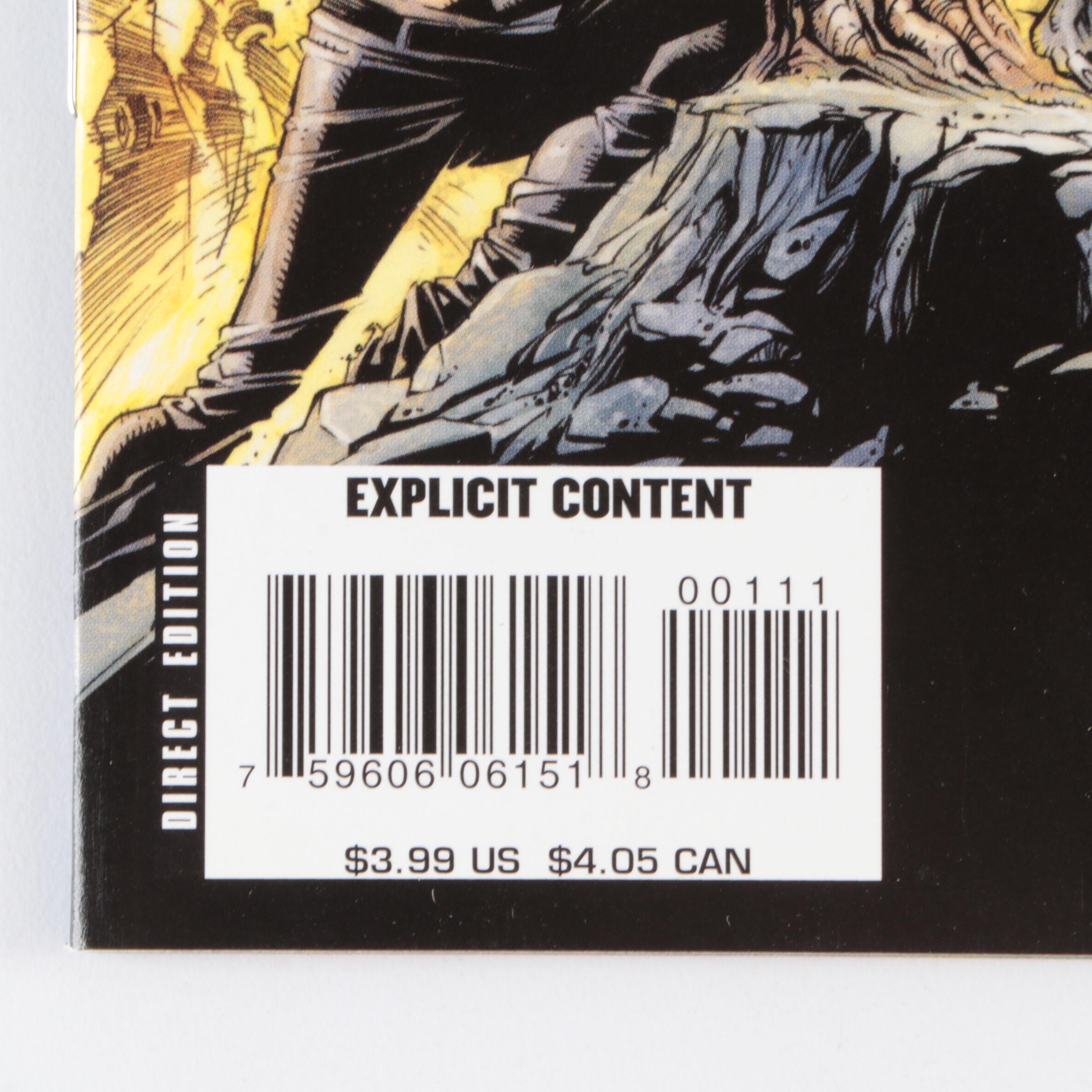 Modern Age Max Comics "The Hood", "The Zombie", "Hellstorm" and More Comic Books