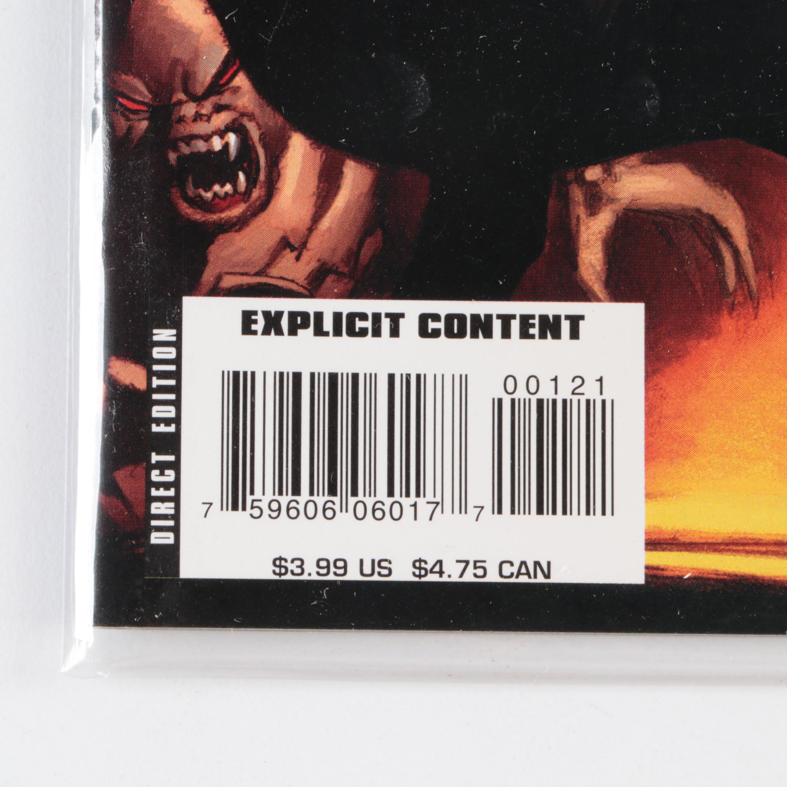 Modern Age Max Comics "The Hood", "The Zombie", "Hellstorm" and More Comic Books