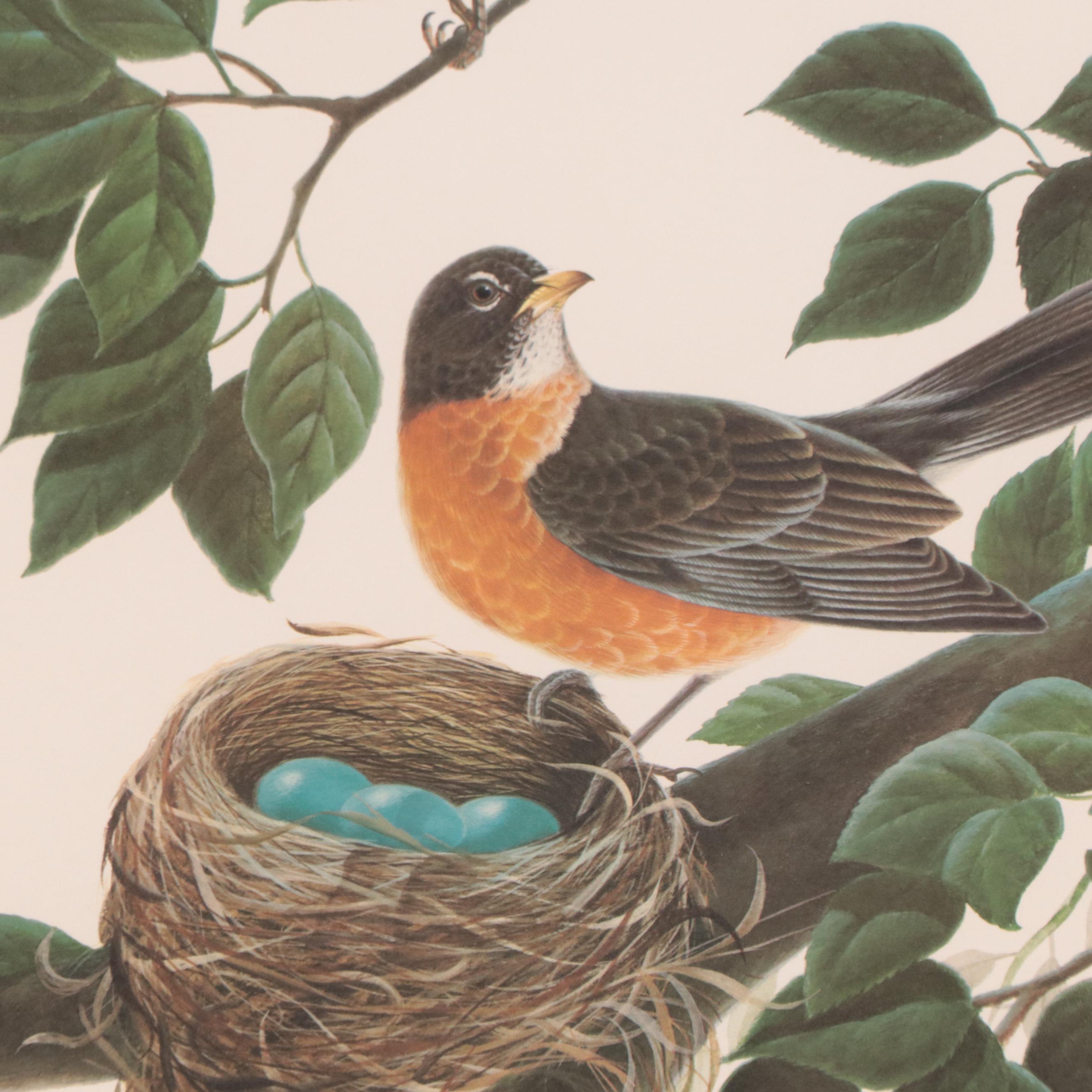 John A. Ruthven Offset Lithograph "Robins"