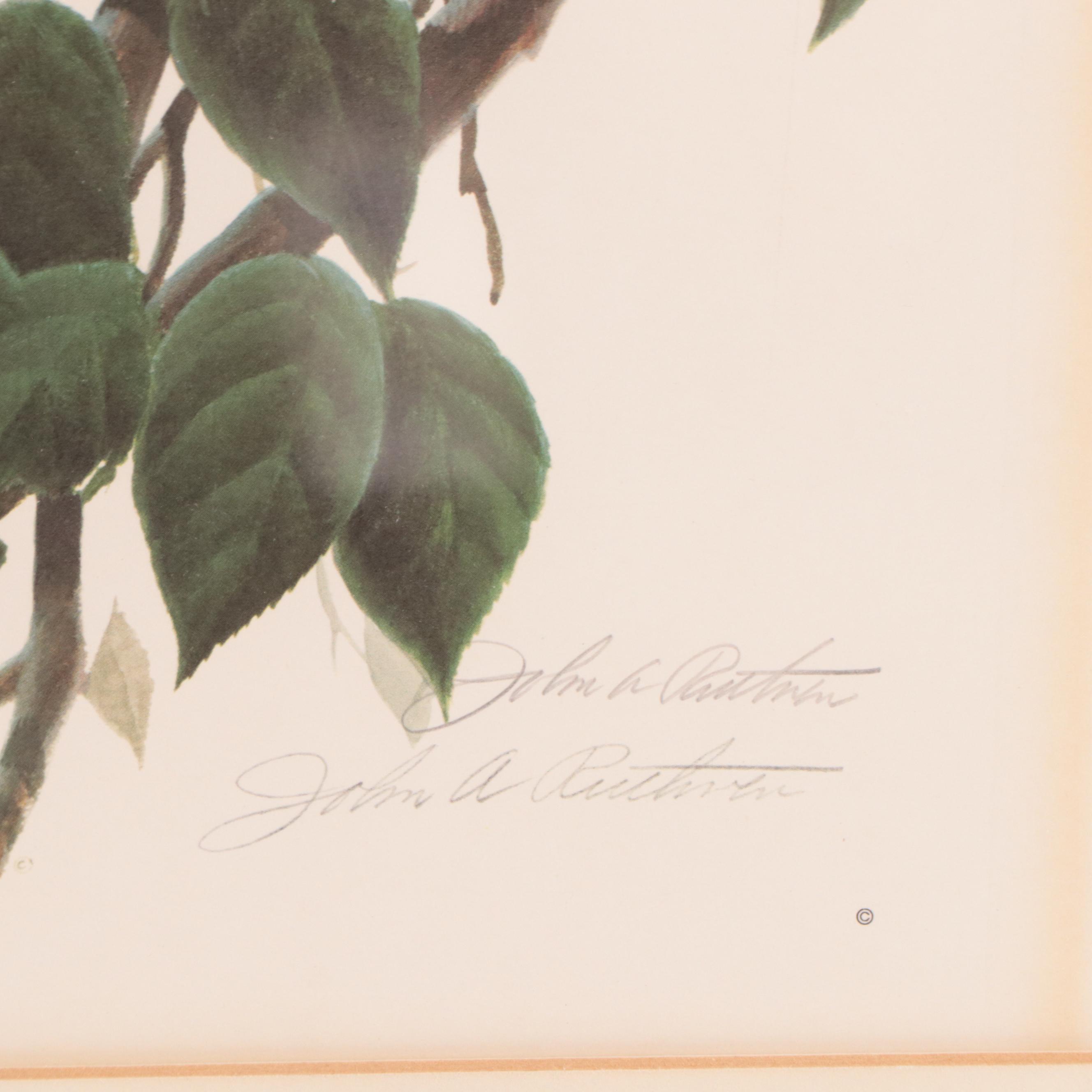 John A. Ruthven Offset Lithograph "Robins"