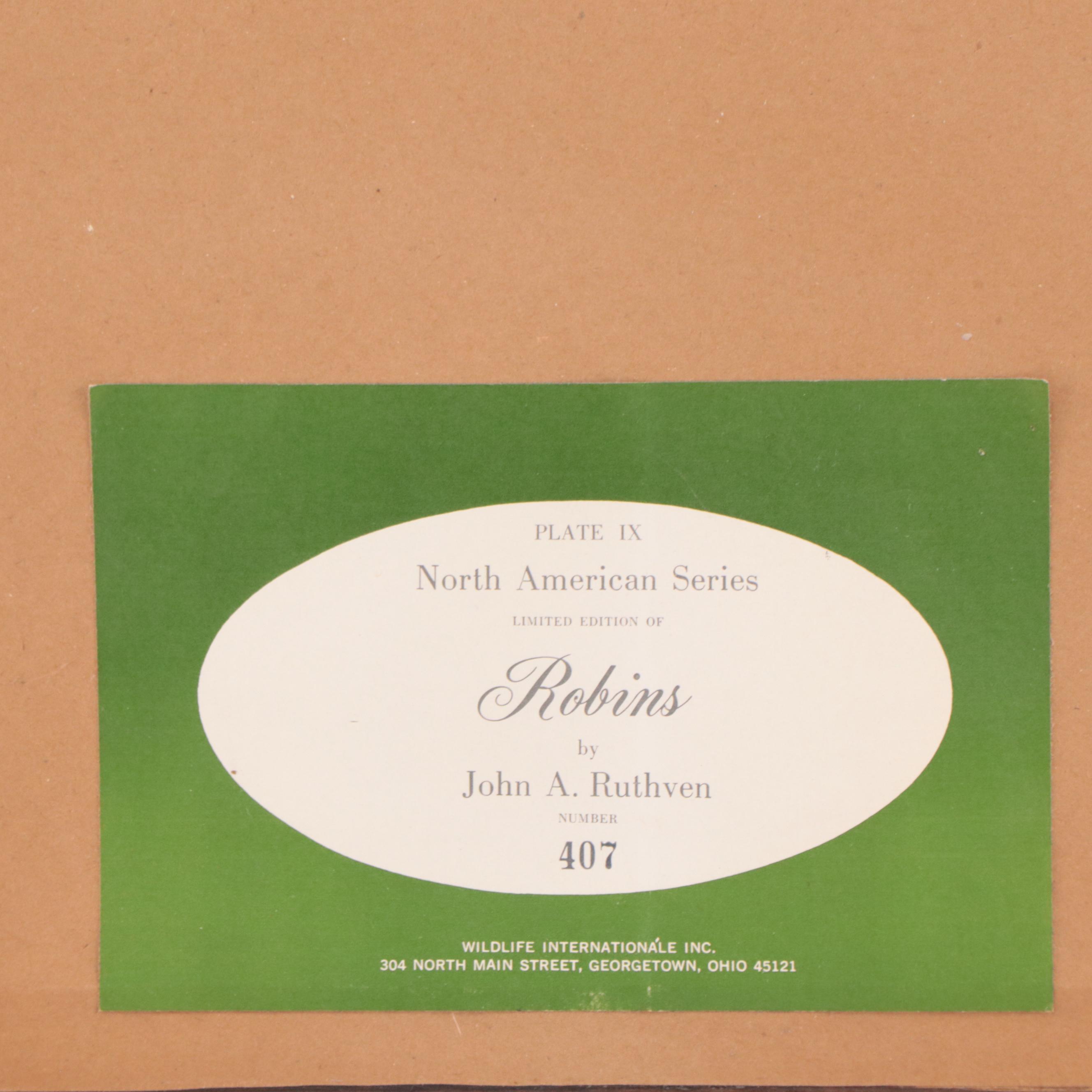 John A. Ruthven Offset Lithograph "Robins"