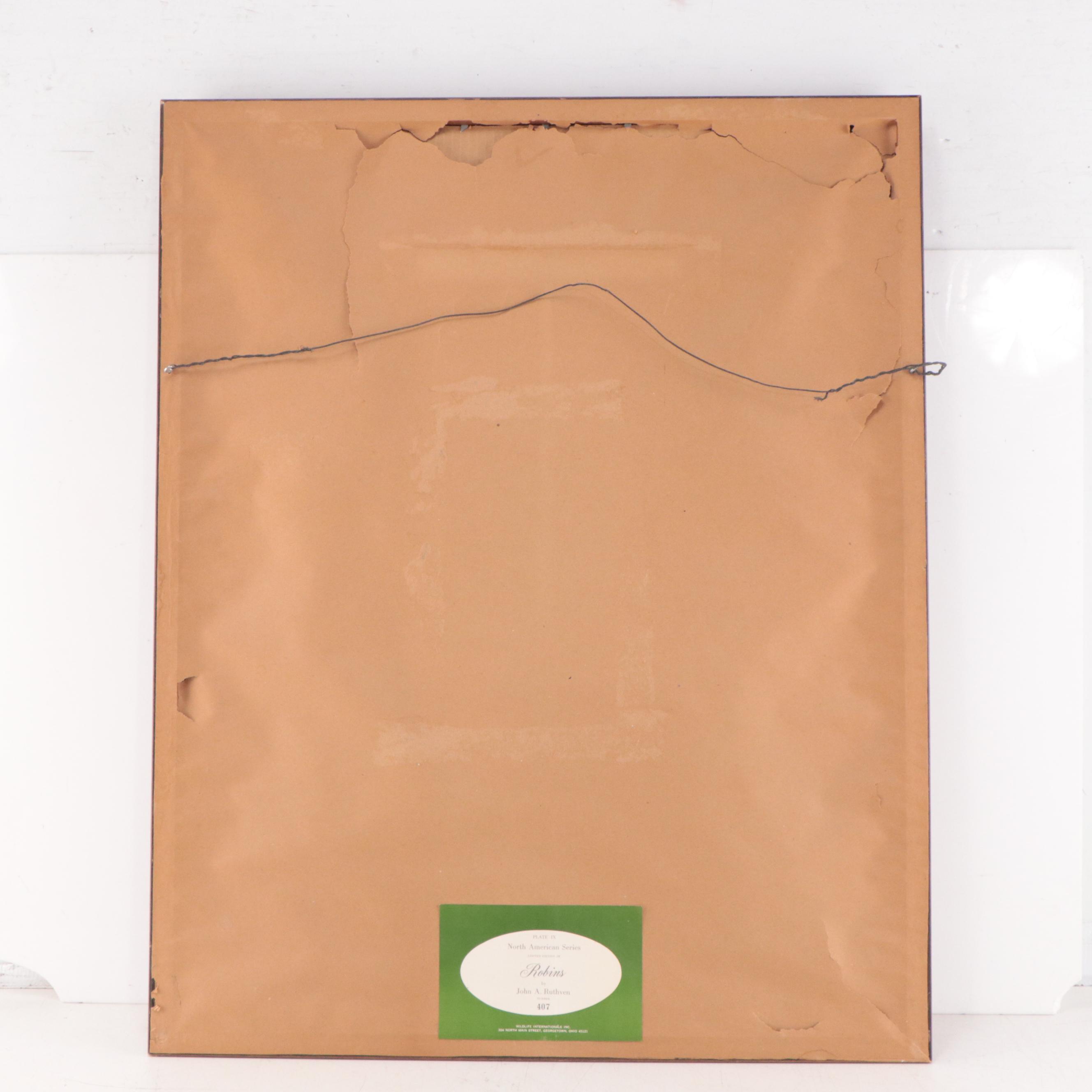 John A. Ruthven Offset Lithograph "Robins"