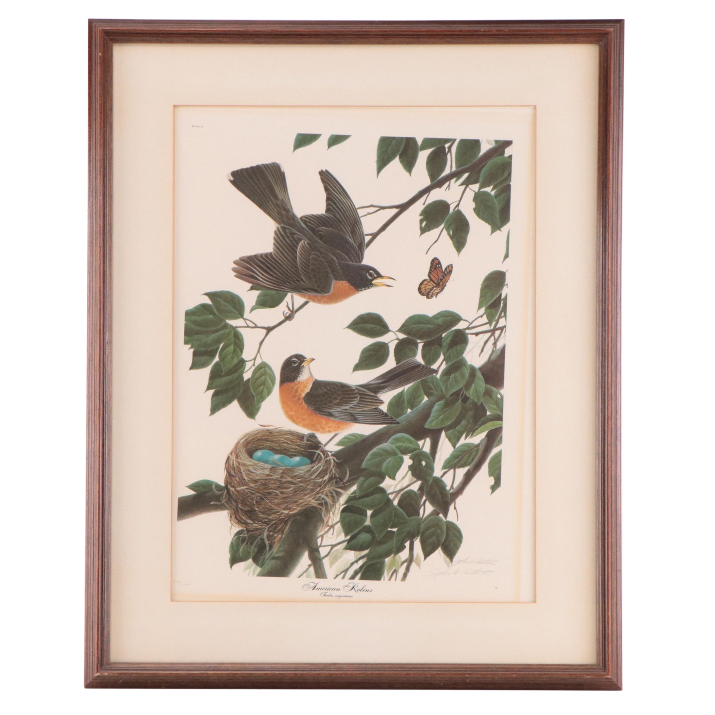 John A. Ruthven Offset Lithograph "Robins"