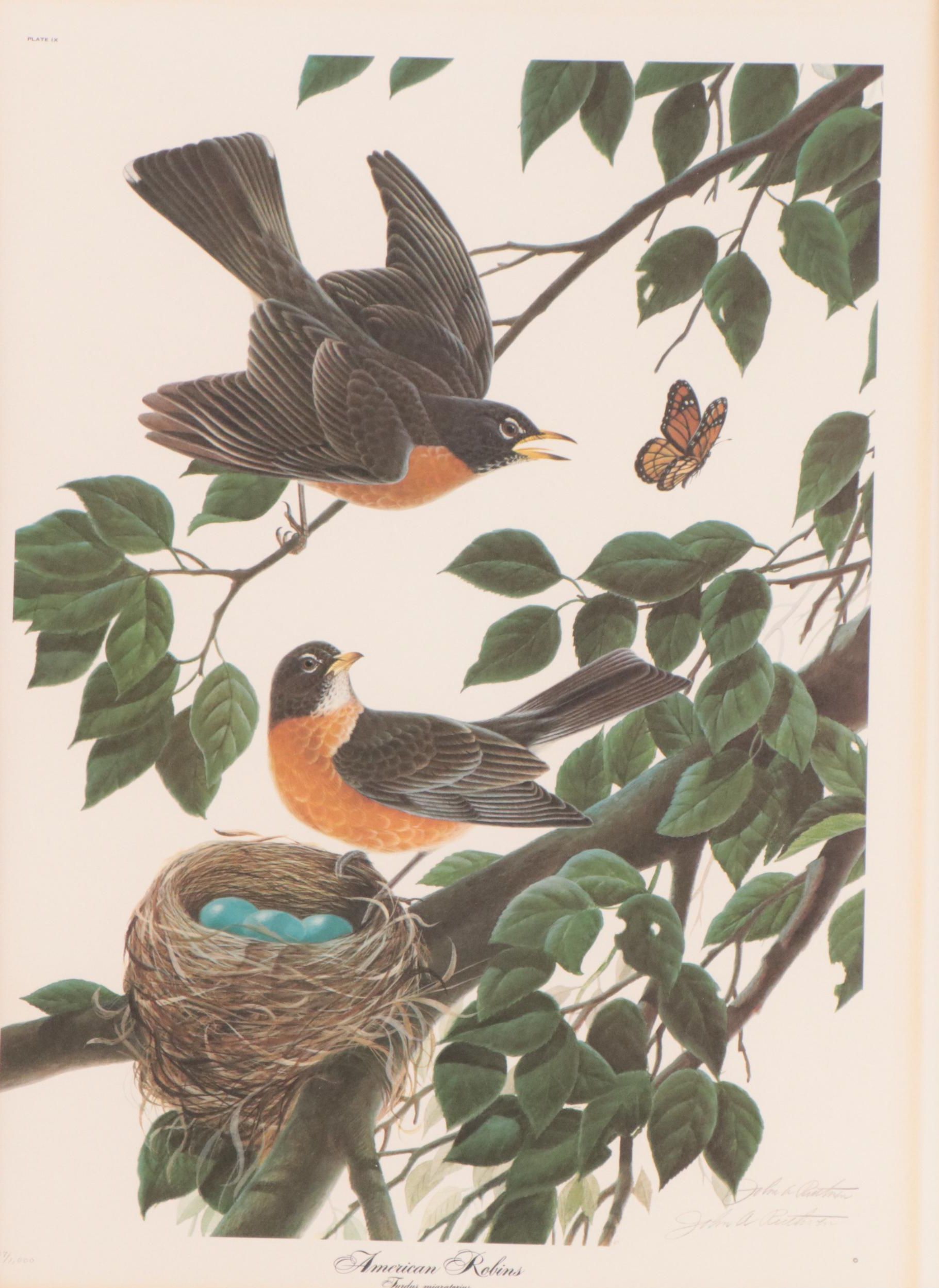 John A. Ruthven Offset Lithograph "Robins"