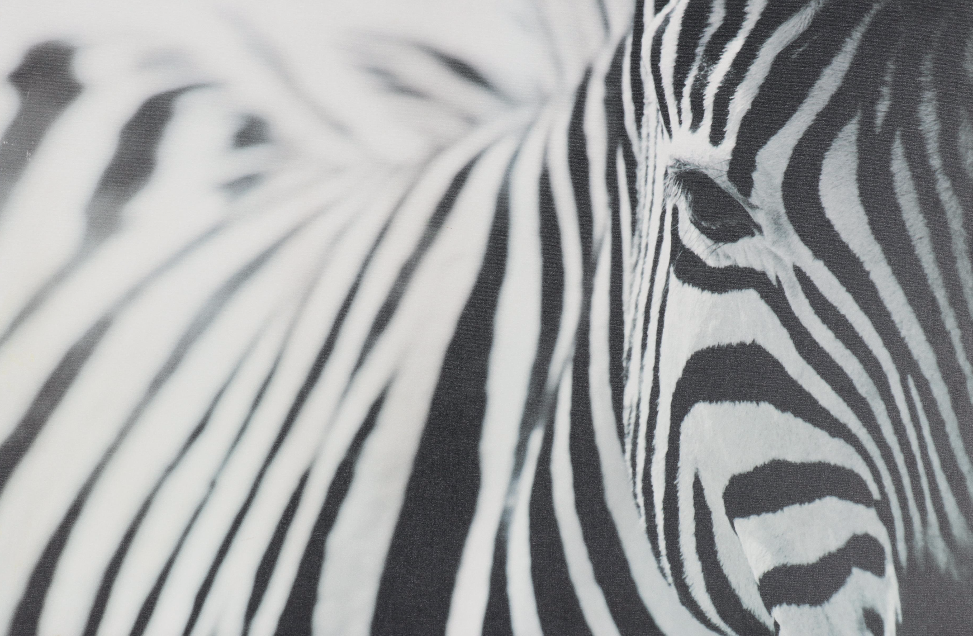 Ikea Offset Lithograph After Richard Lewisohn "Zebra," 21st Century