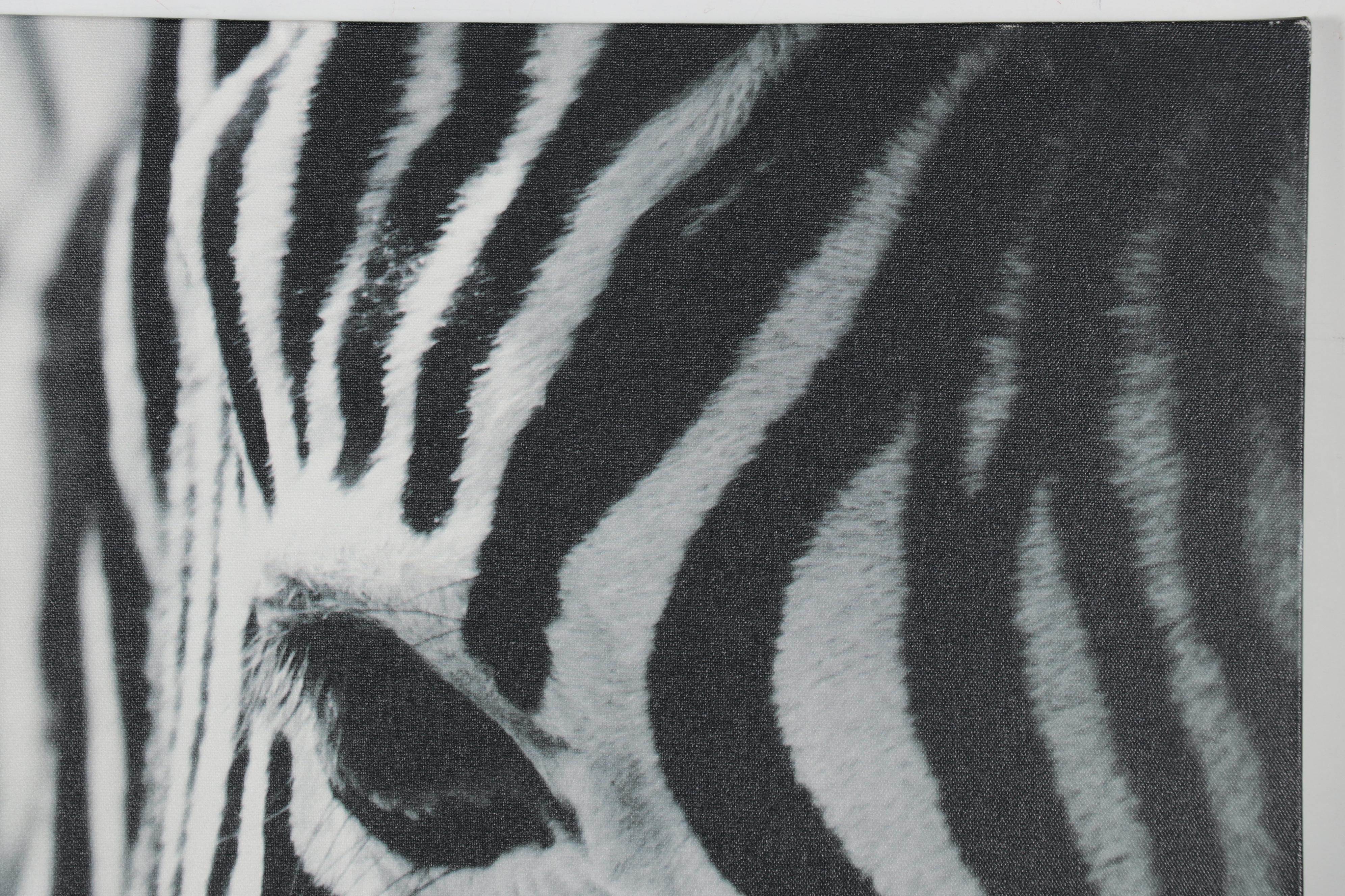 Ikea Offset Lithograph After Richard Lewisohn "Zebra," 21st Century