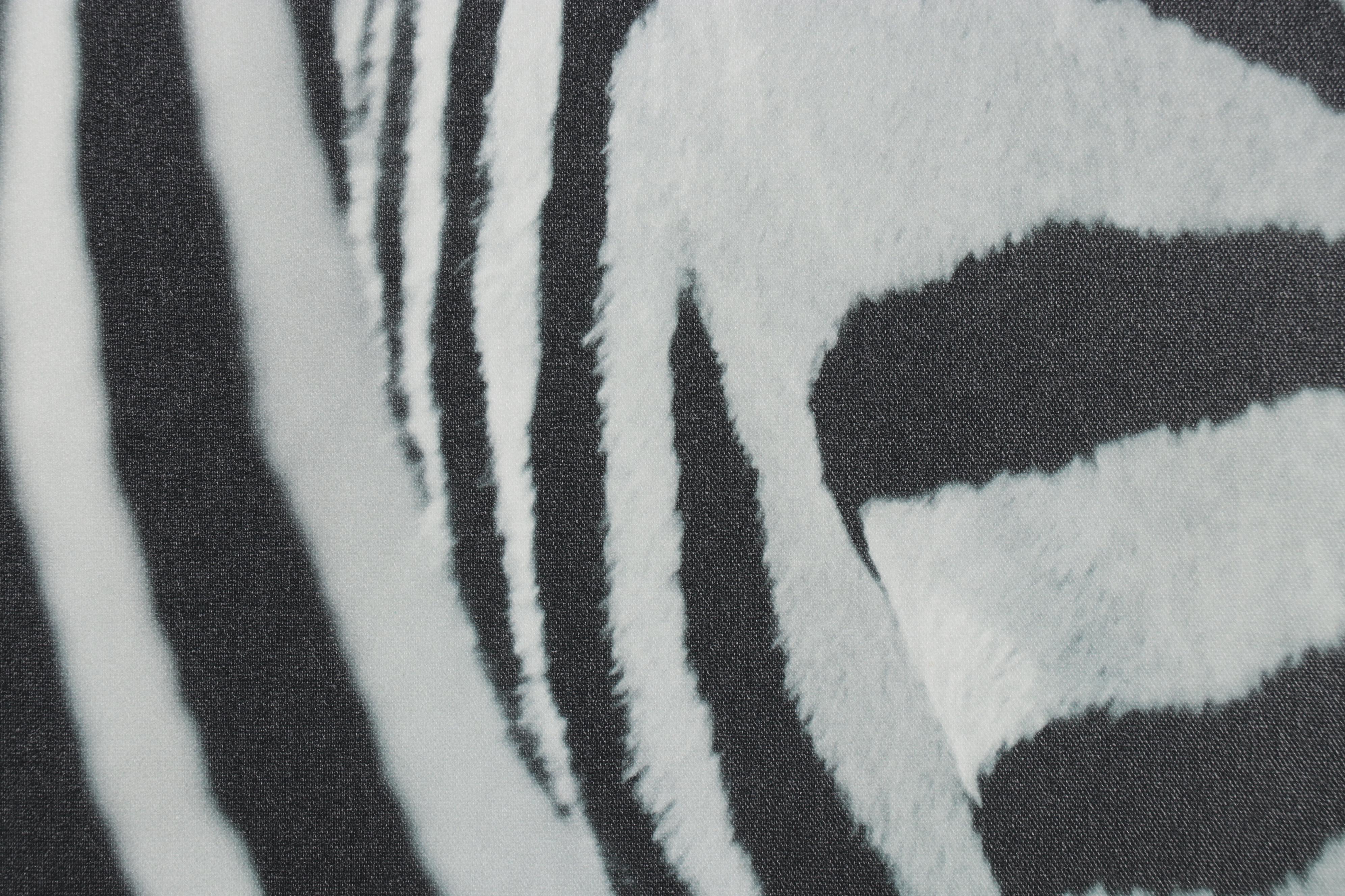 Ikea Offset Lithograph After Richard Lewisohn "Zebra," 21st Century