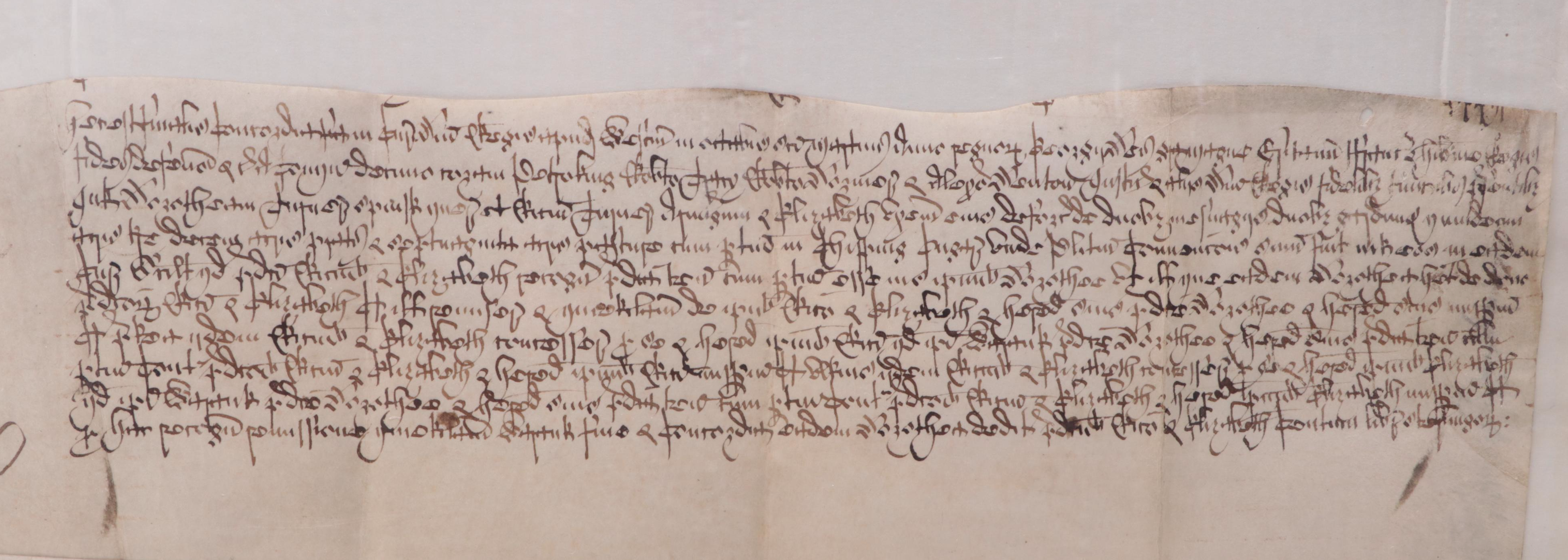 Medieval Vellum Documents