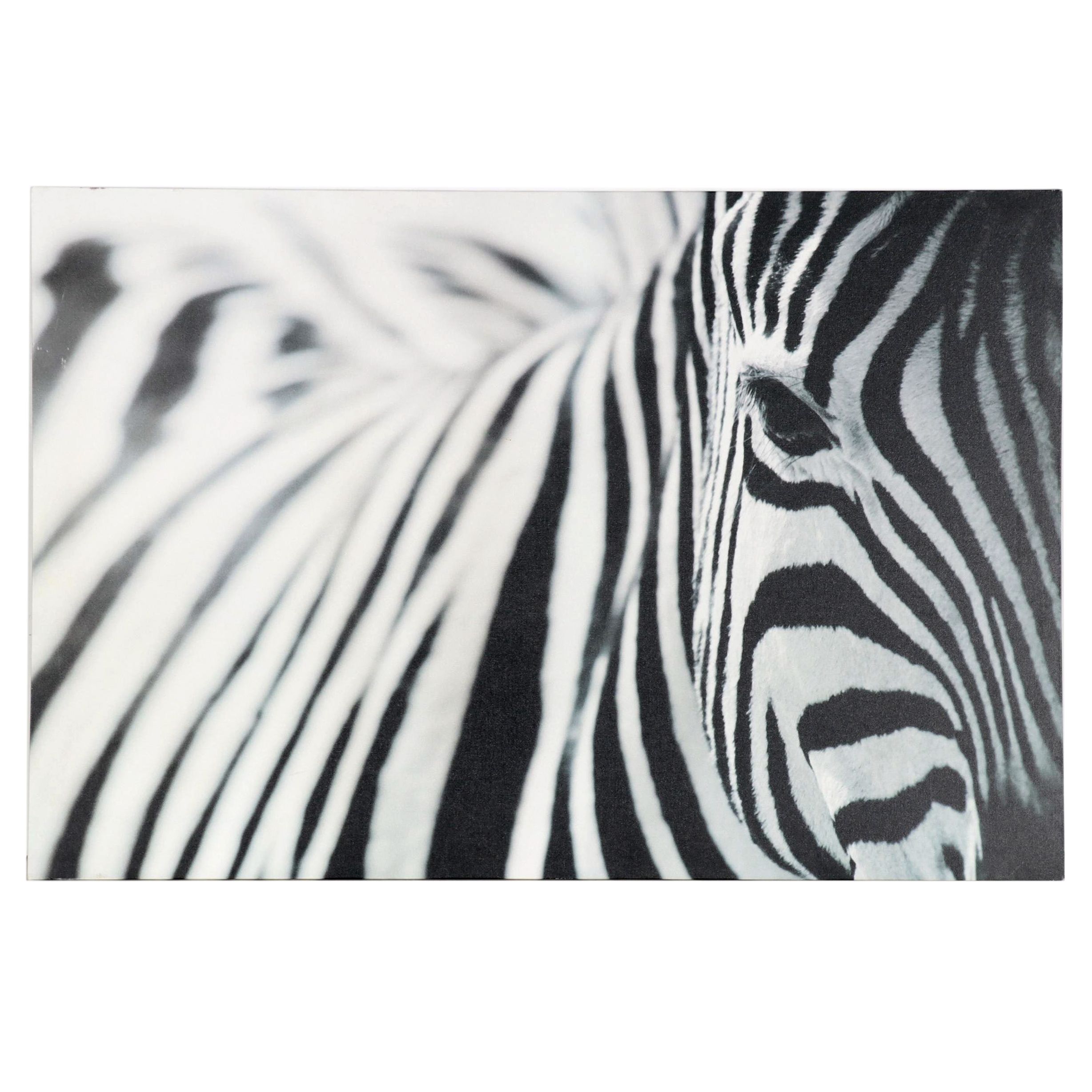 Ikea Offset Lithograph After Richard Lewisohn "Zebra," 21st Century