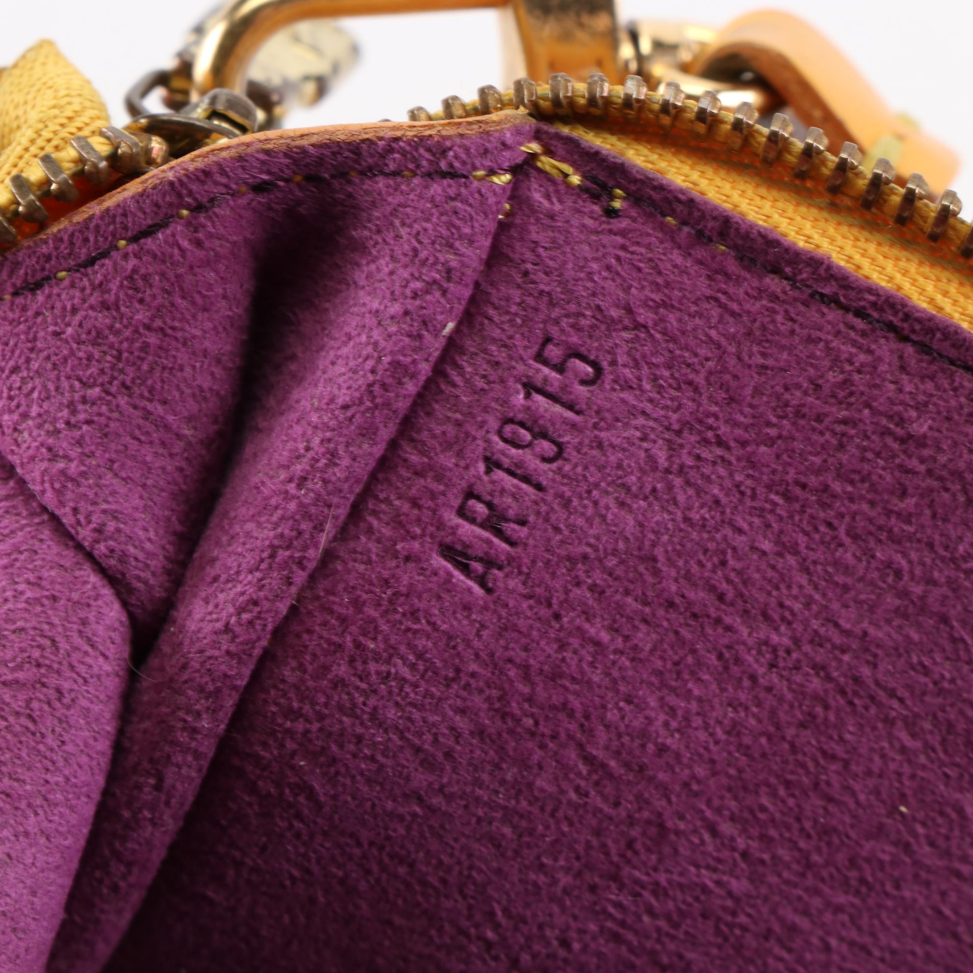 Louis Vuitton Zip Pouch in Tassil Yellow Epi Leather