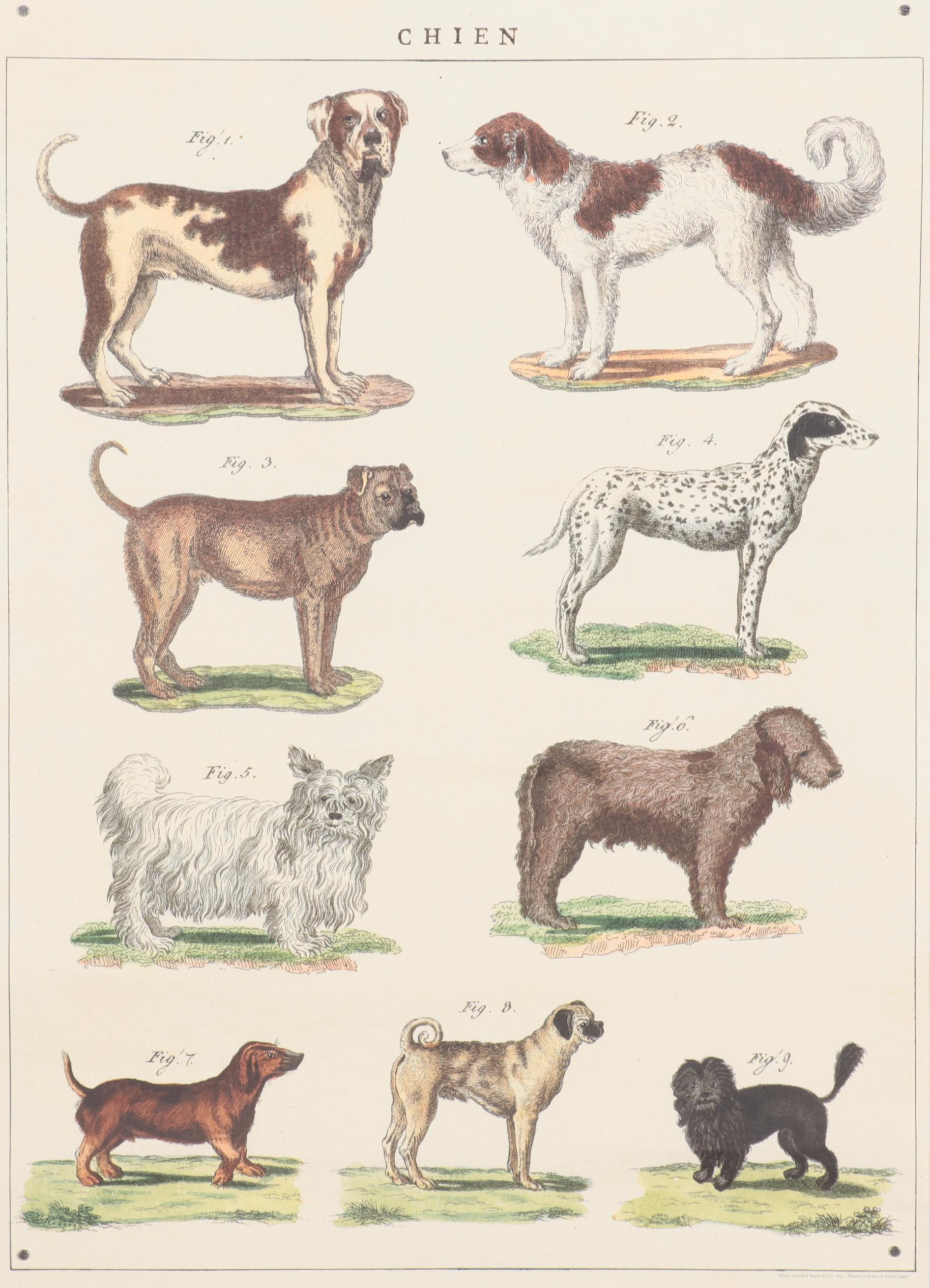 Offset Lithograph Dog Poster "Chien"