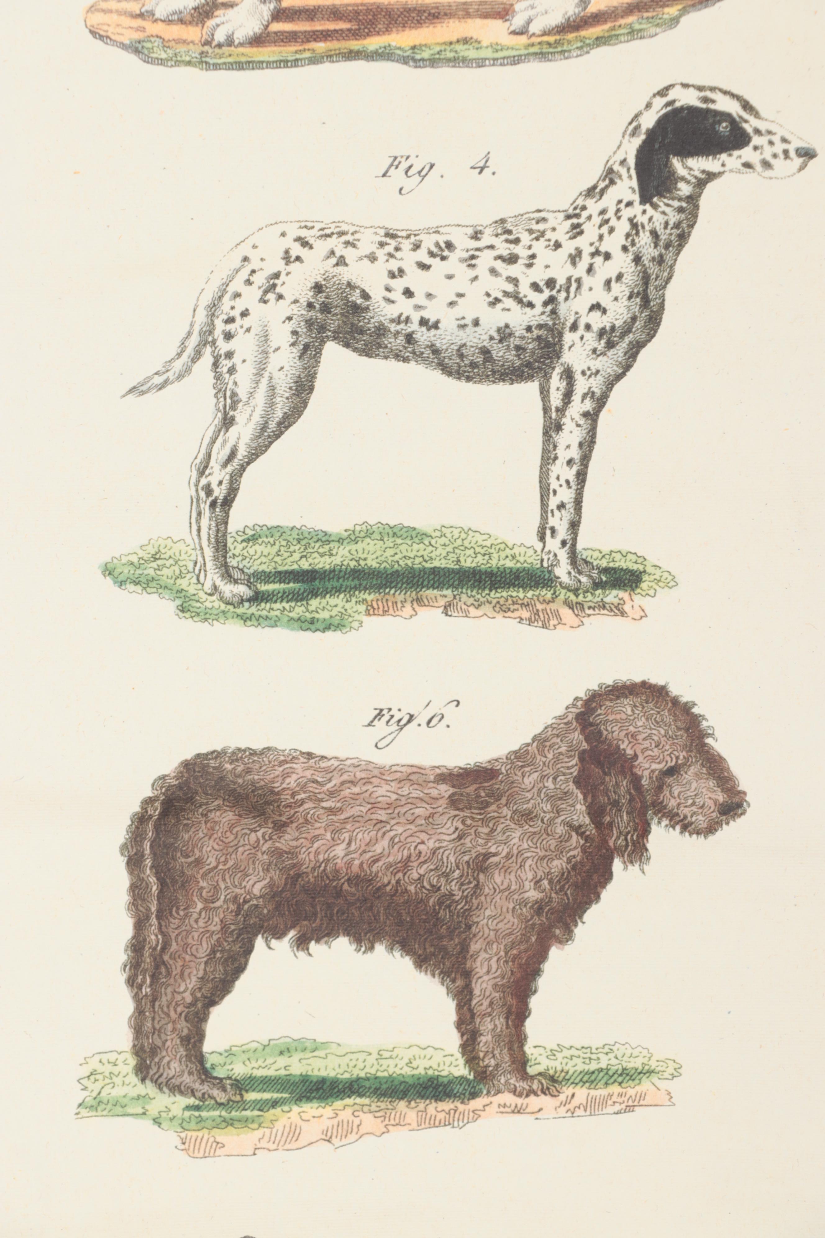 Offset Lithograph Dog Poster "Chien"