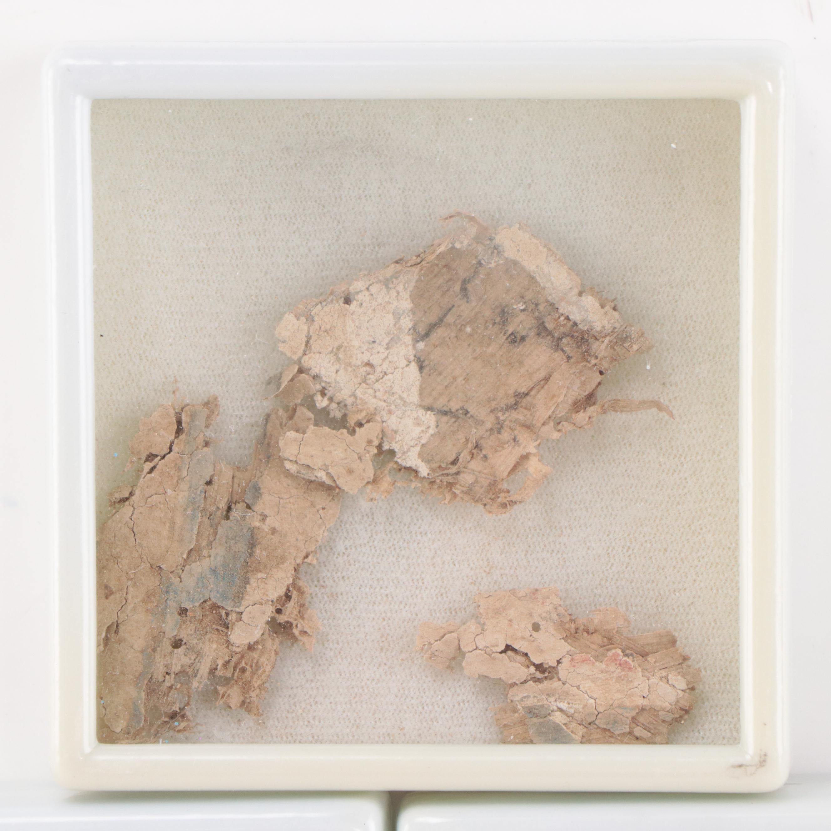 Ancient Egyptian Demotic or Greek Script Papyrus Fragments