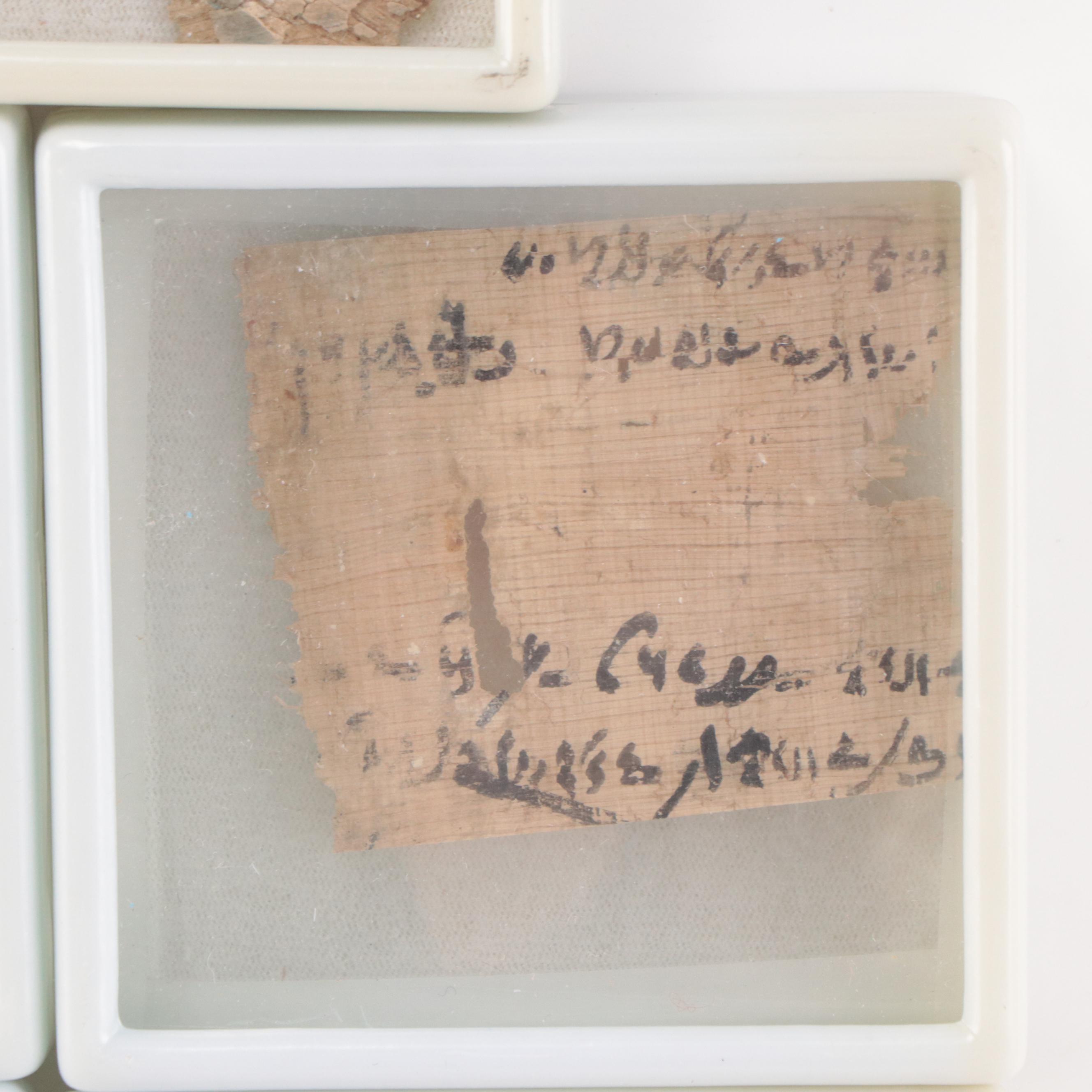 Ancient Egyptian Demotic or Greek Script Papyrus Fragments